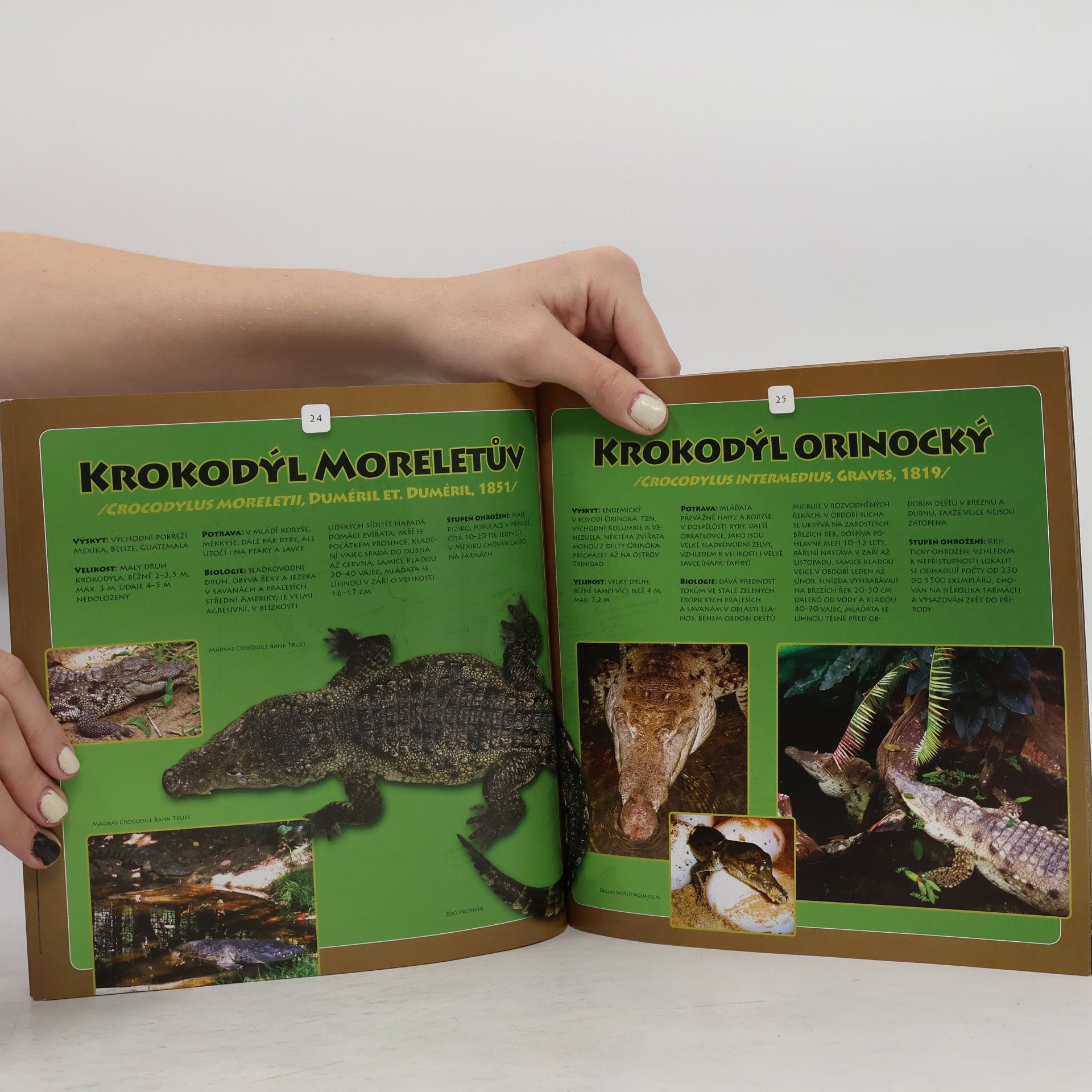 Miroslav Procházka Malý obrazový atlas krokodýlů