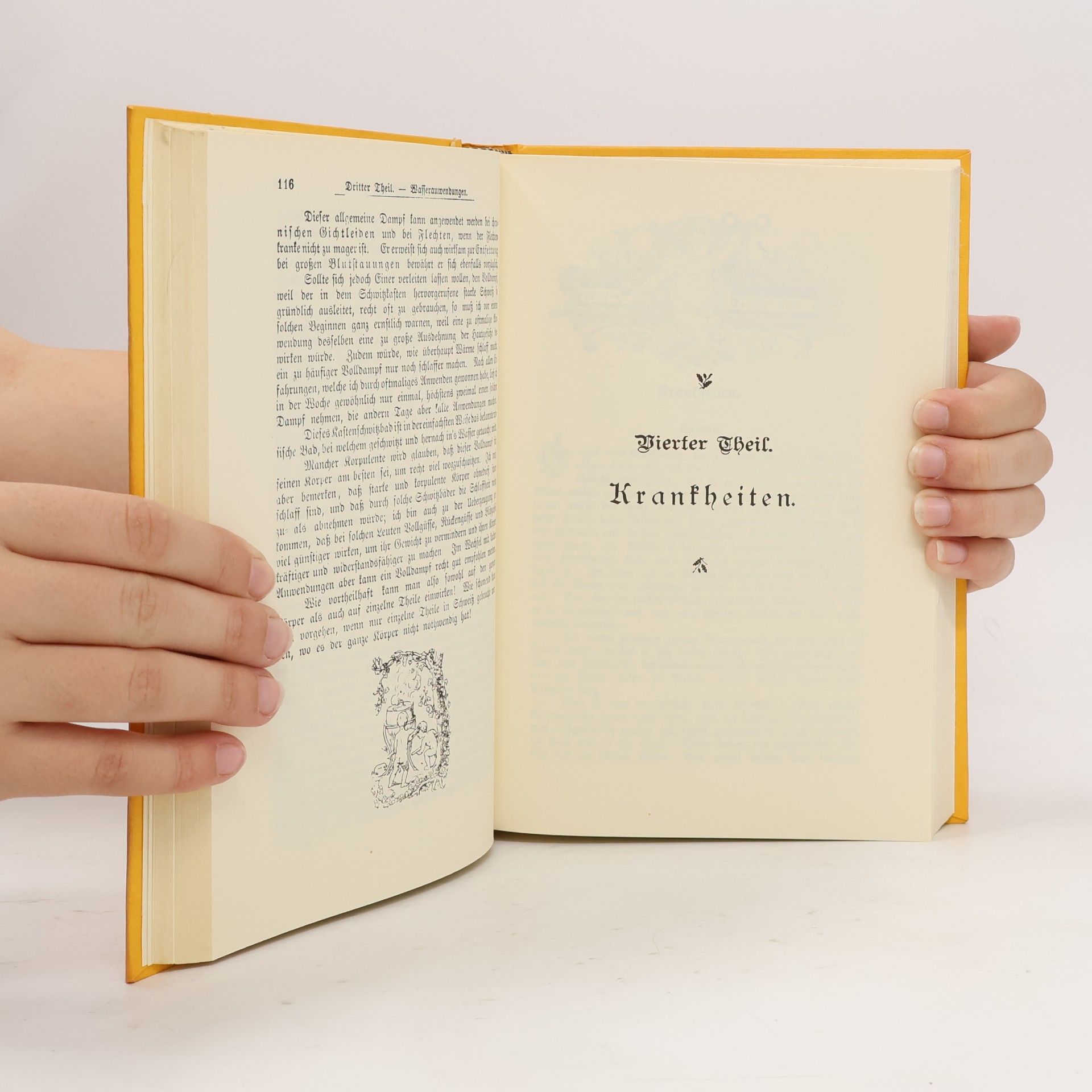 Sebastian Kneipp Mein Testament für Gesunde und Kranke