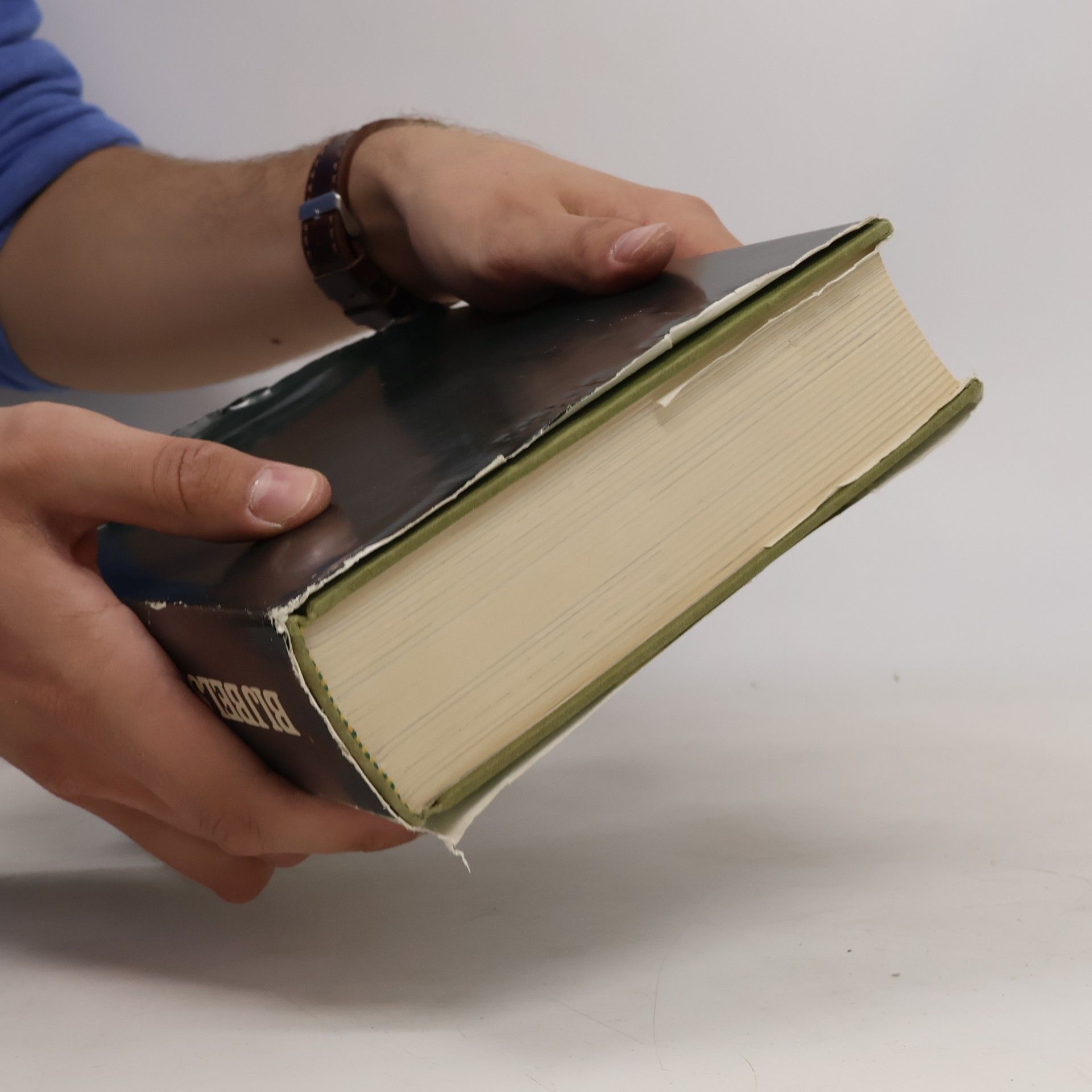 F. W. Grosheide Bijbelse encyclopedie