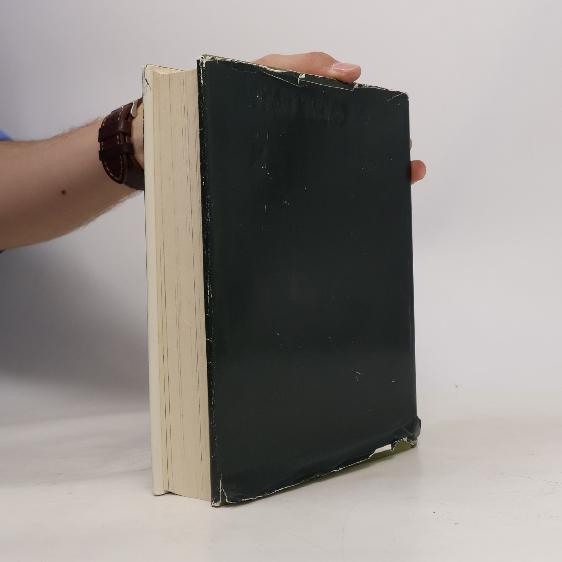 F. W. Grosheide Bijbelse encyclopedie