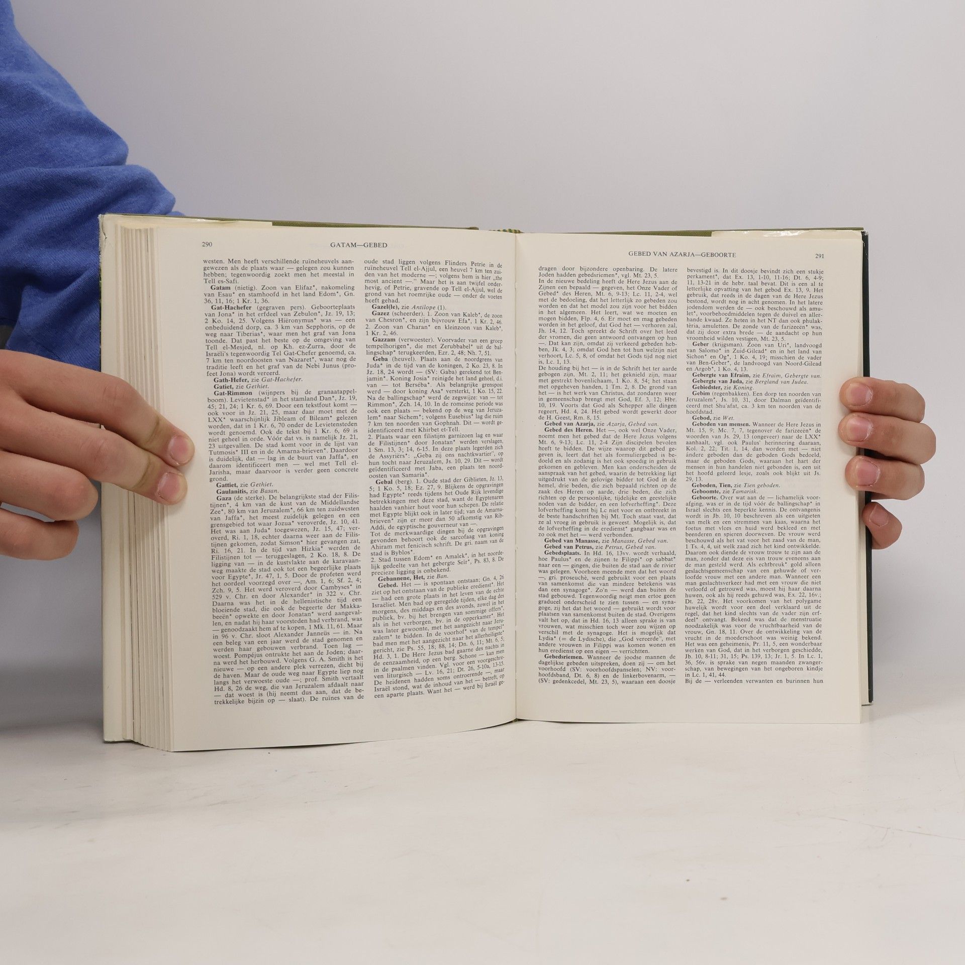 F. W. Grosheide Bijbelse encyclopedie