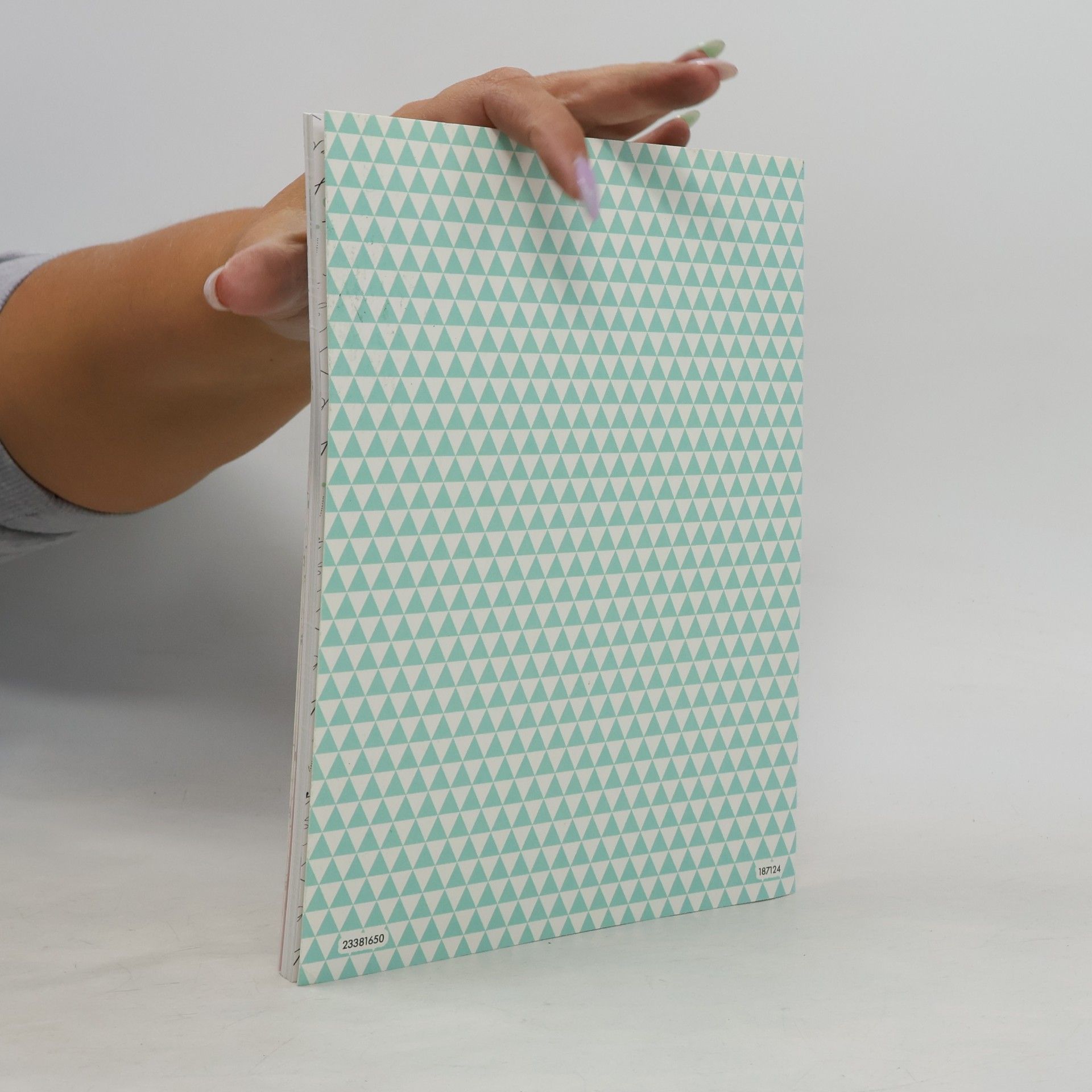 Katja Haas Mein Übungsbuch