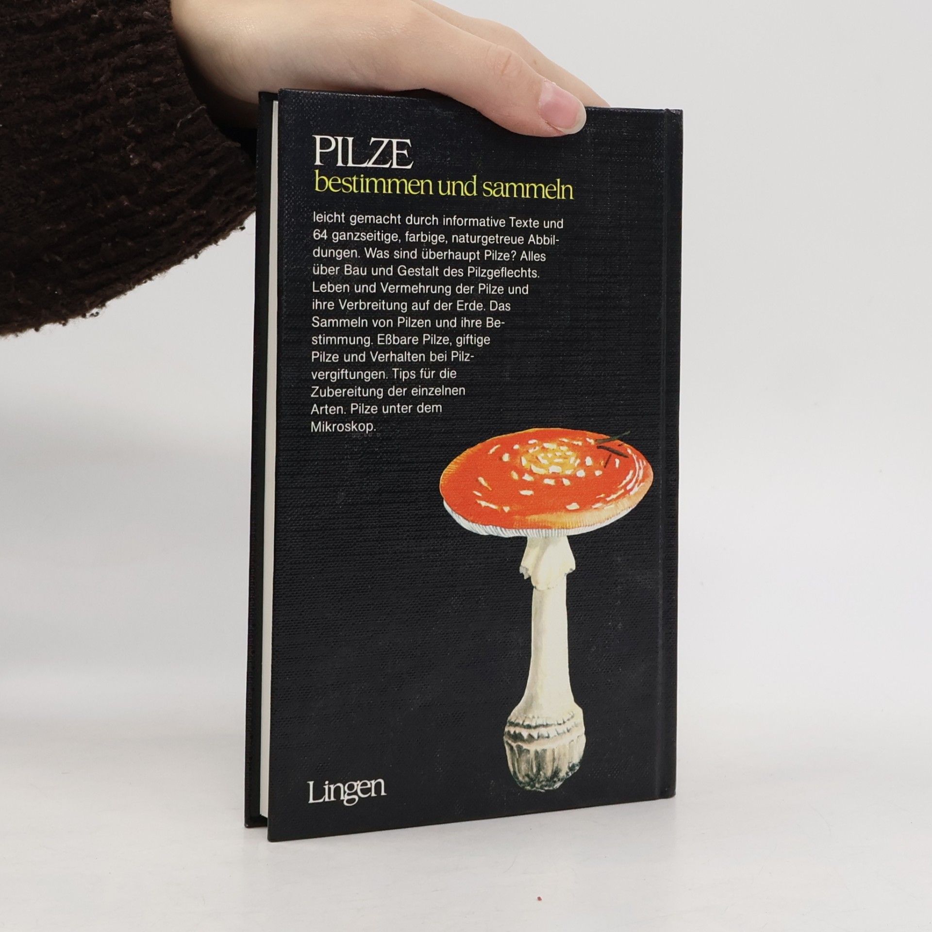 Kolektiv autorů Pilze bestimmen und sammeln