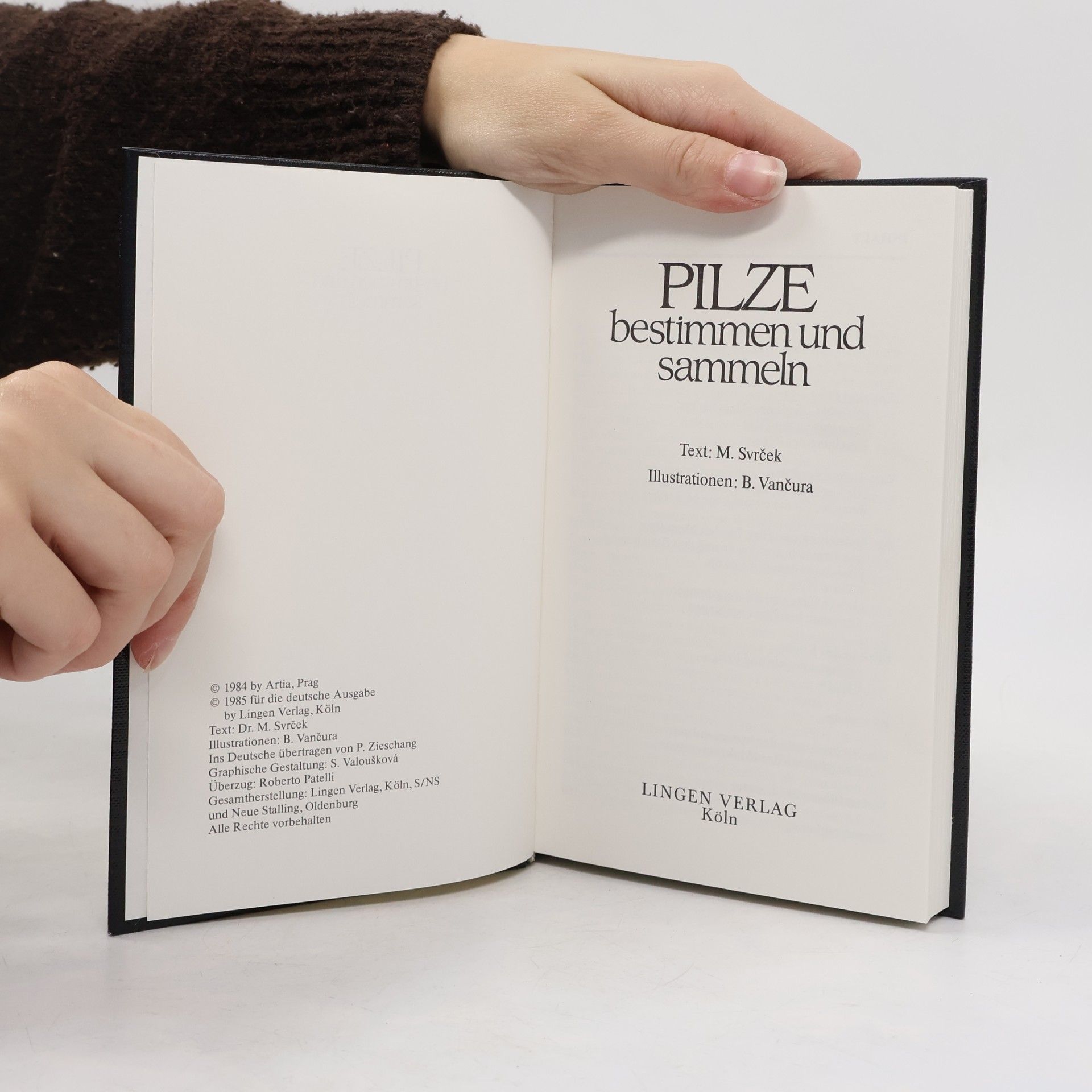 Kolektiv autorů Pilze bestimmen und sammeln