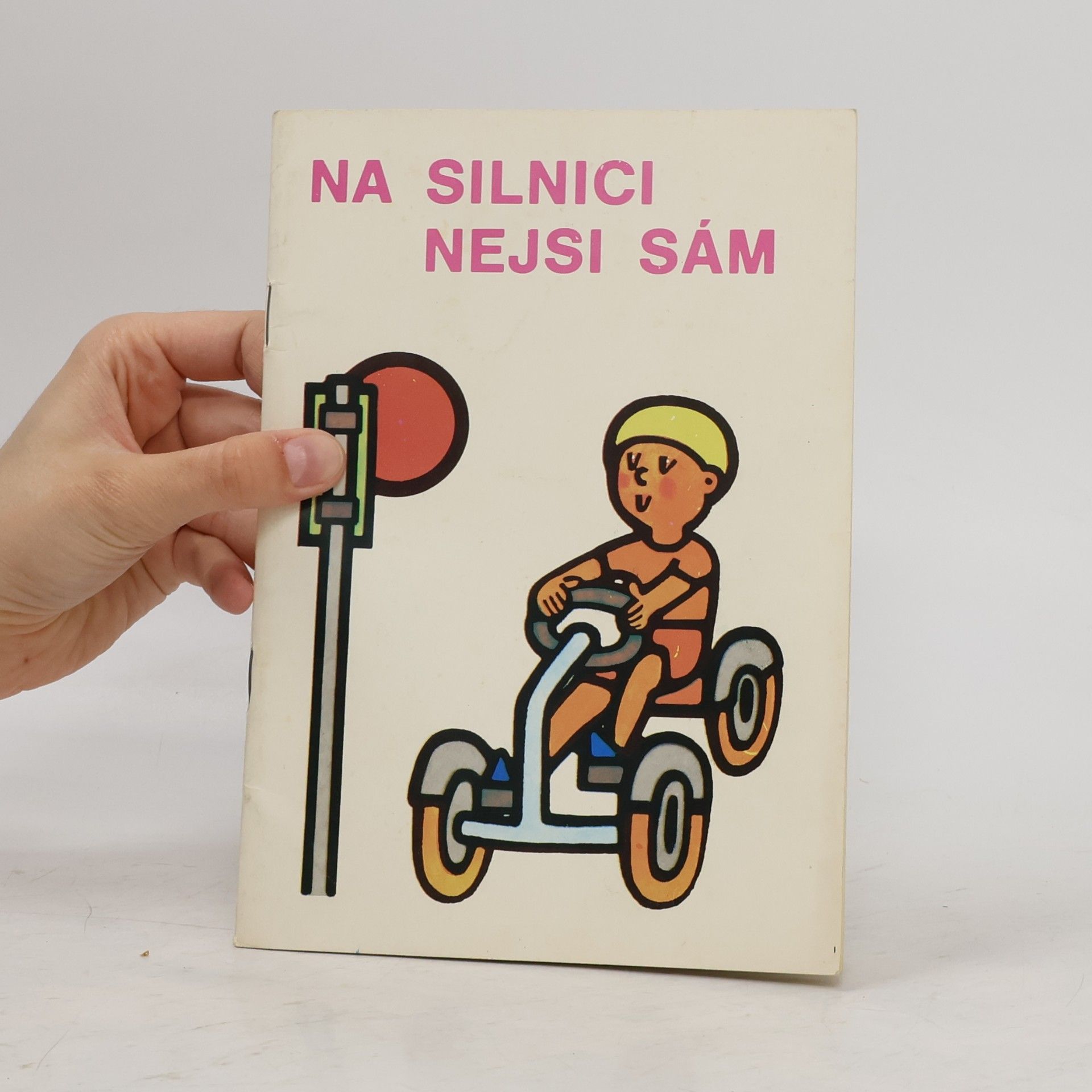 Kolektiv autorů Na silnici nejsi sám