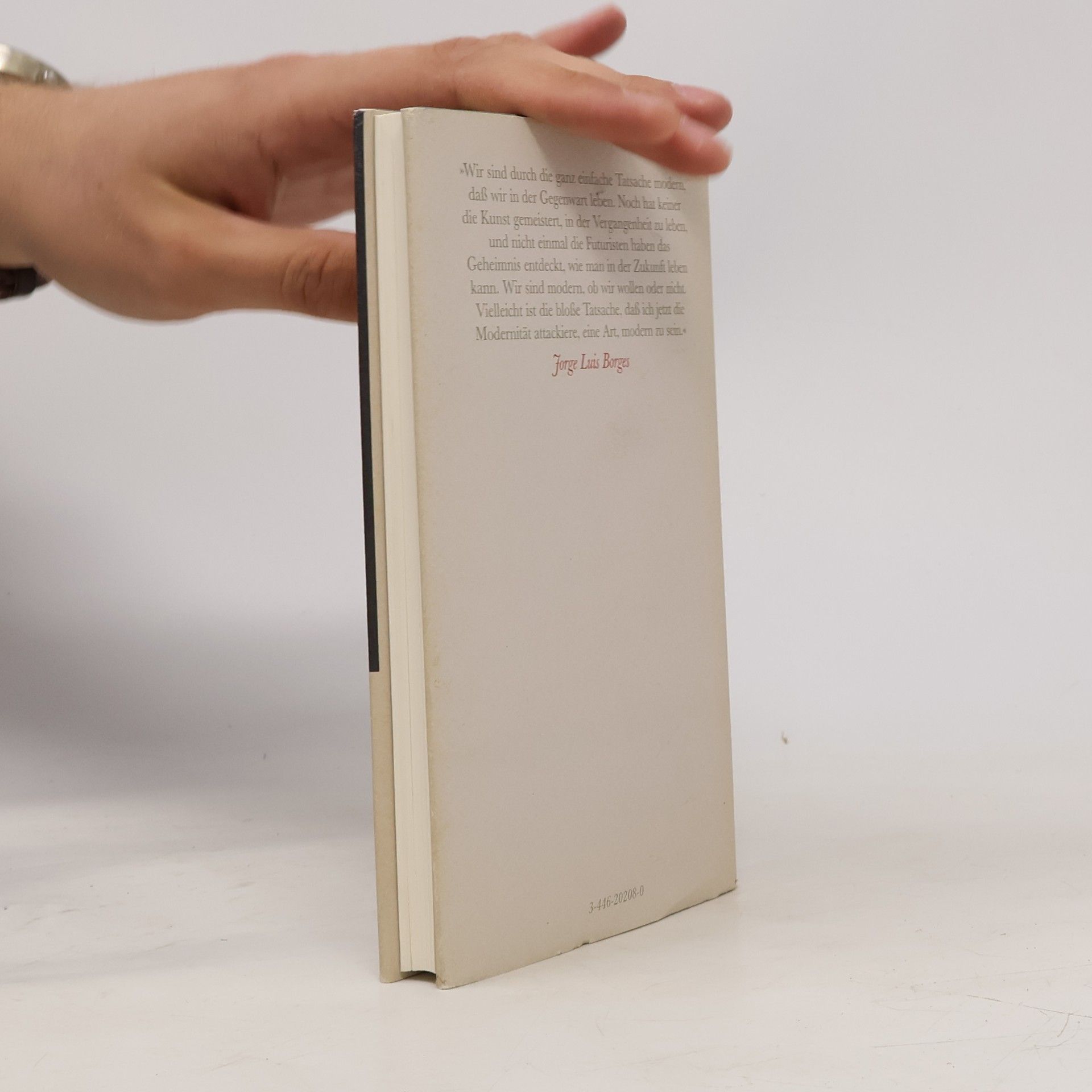 Jorge Luis Borges Das Handwerk des Dichters
