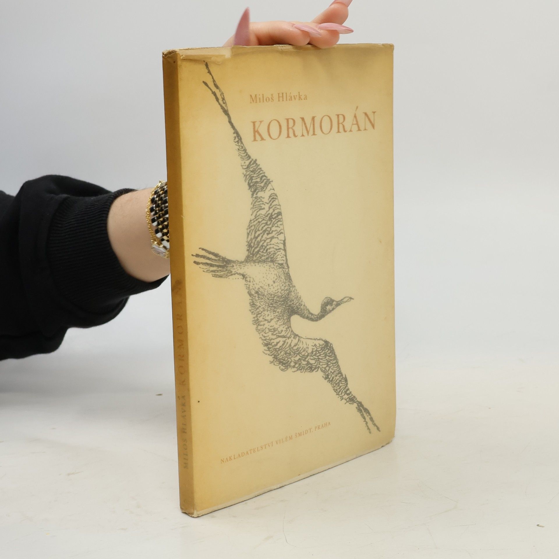 Kormorán