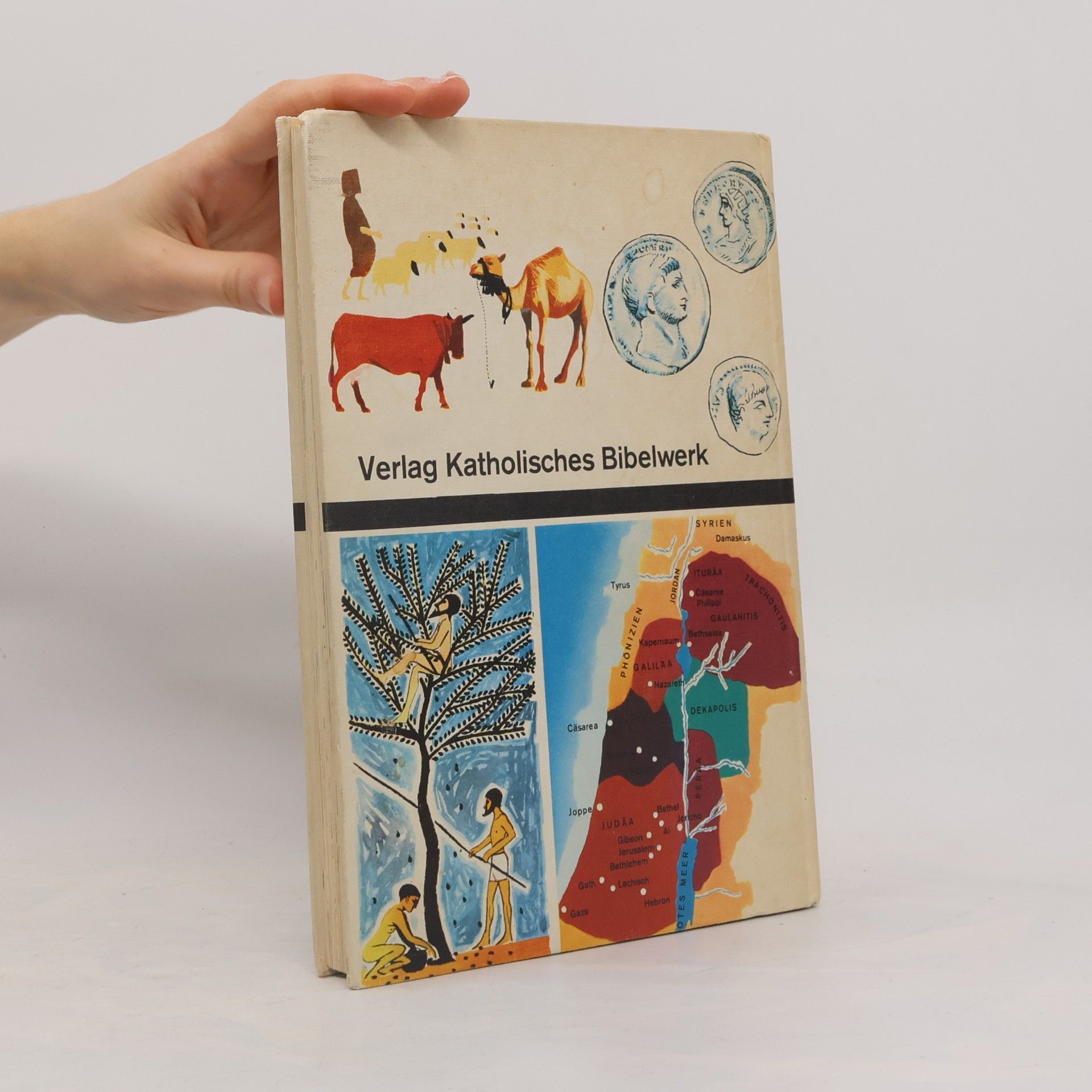 Kolektiv autorů Biblisches Lexikon für jung und alt
