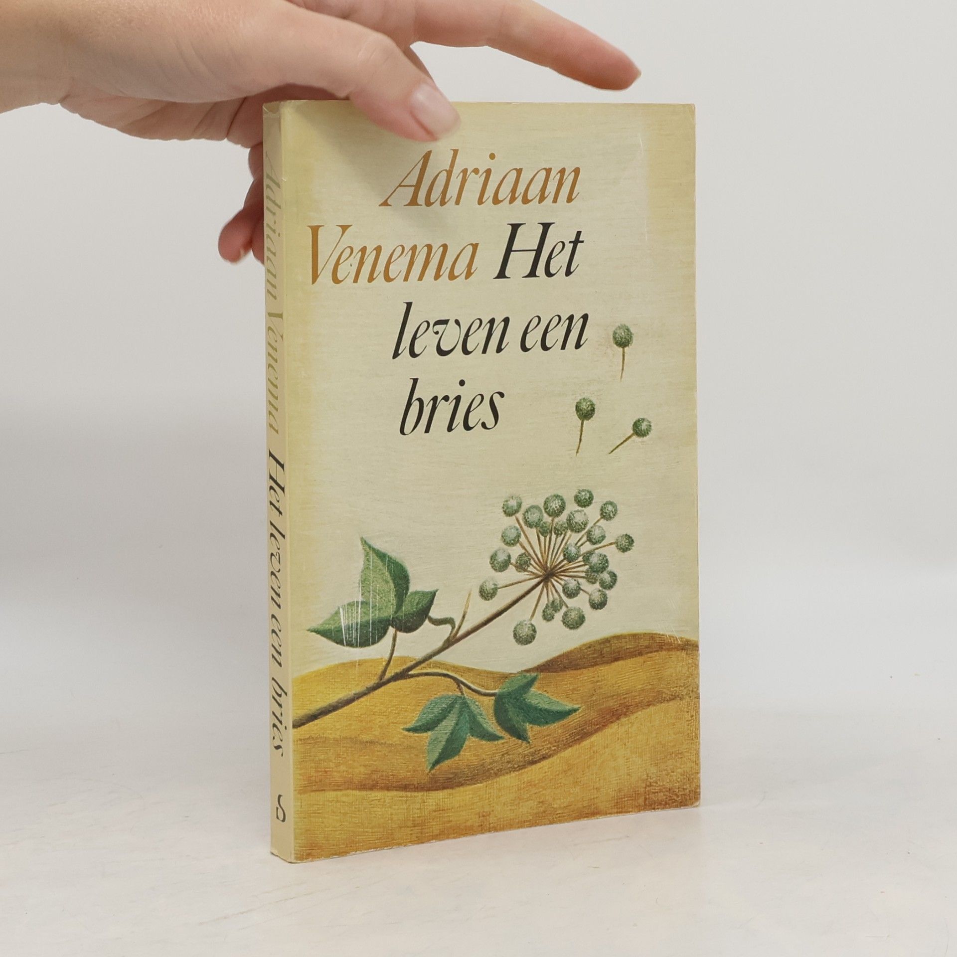 Leven een bries