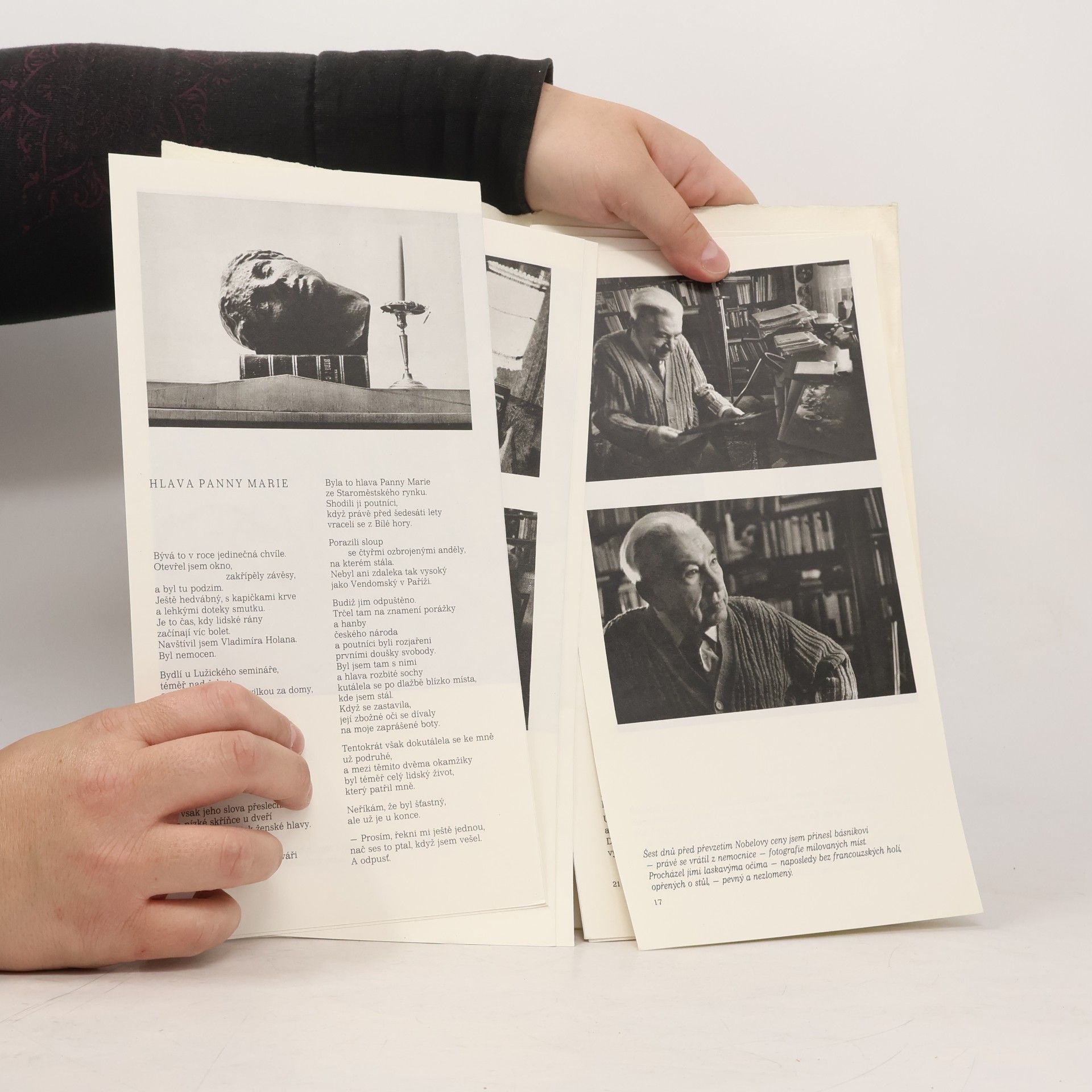 Autorenkollektiv Jaroslav Seifert a Jan Zrzavý ve fotografiích Jaroslava Krejčího