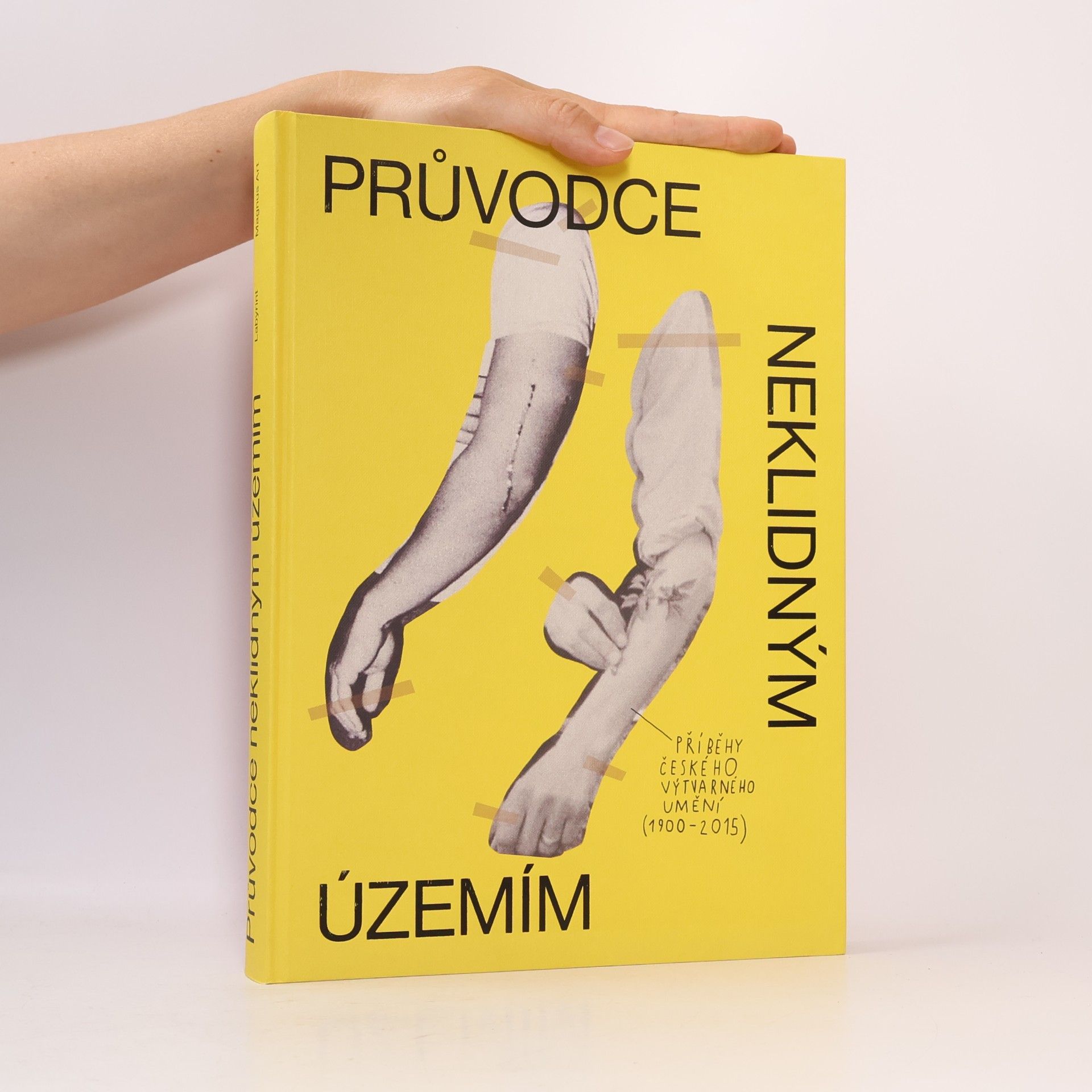 Ondřej Fuczik Průvodce neklidným územím. Příběhy českého výtvarného umění (1900-2015)