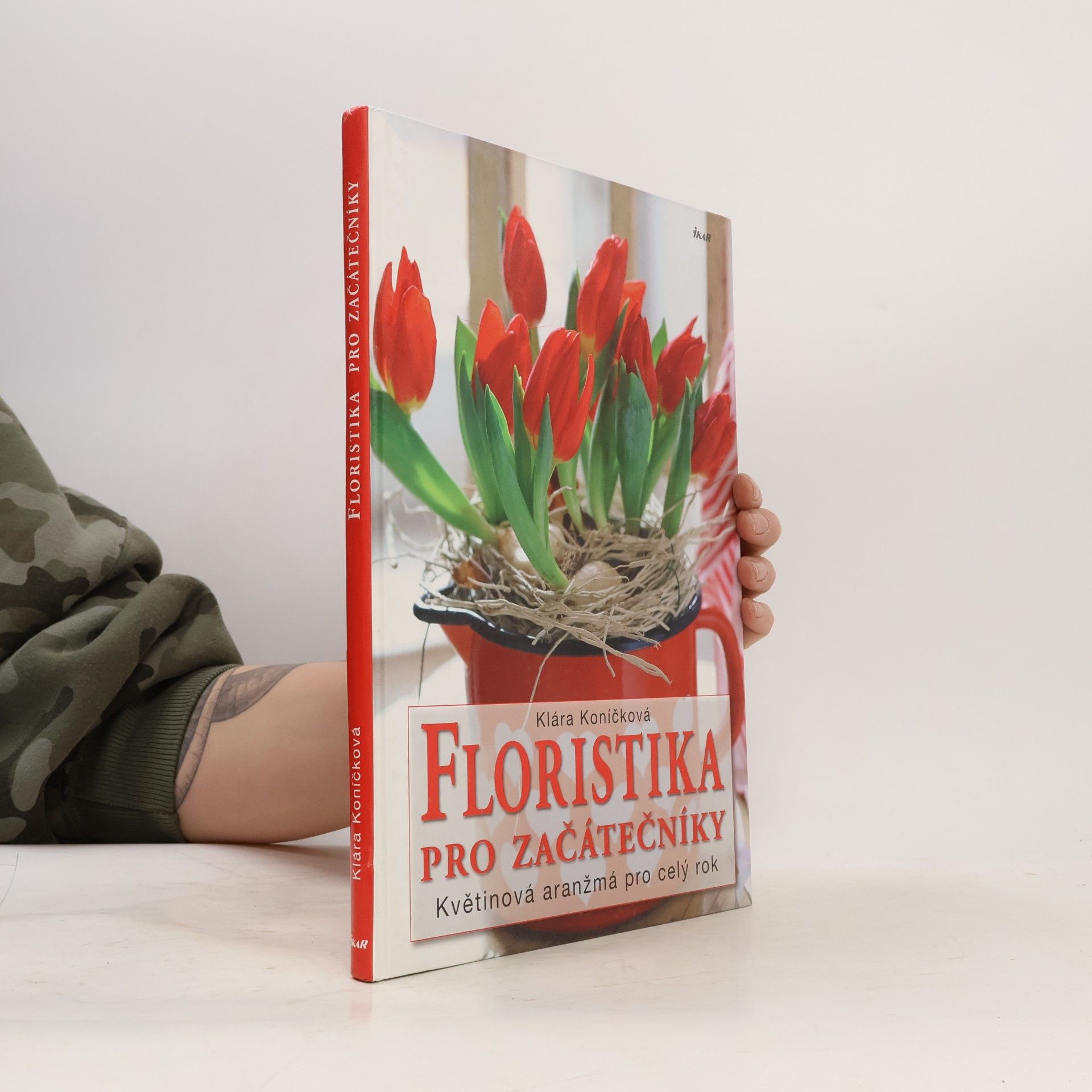 Floristika pro začátečníky. Květinová aranžmá pro celý rok