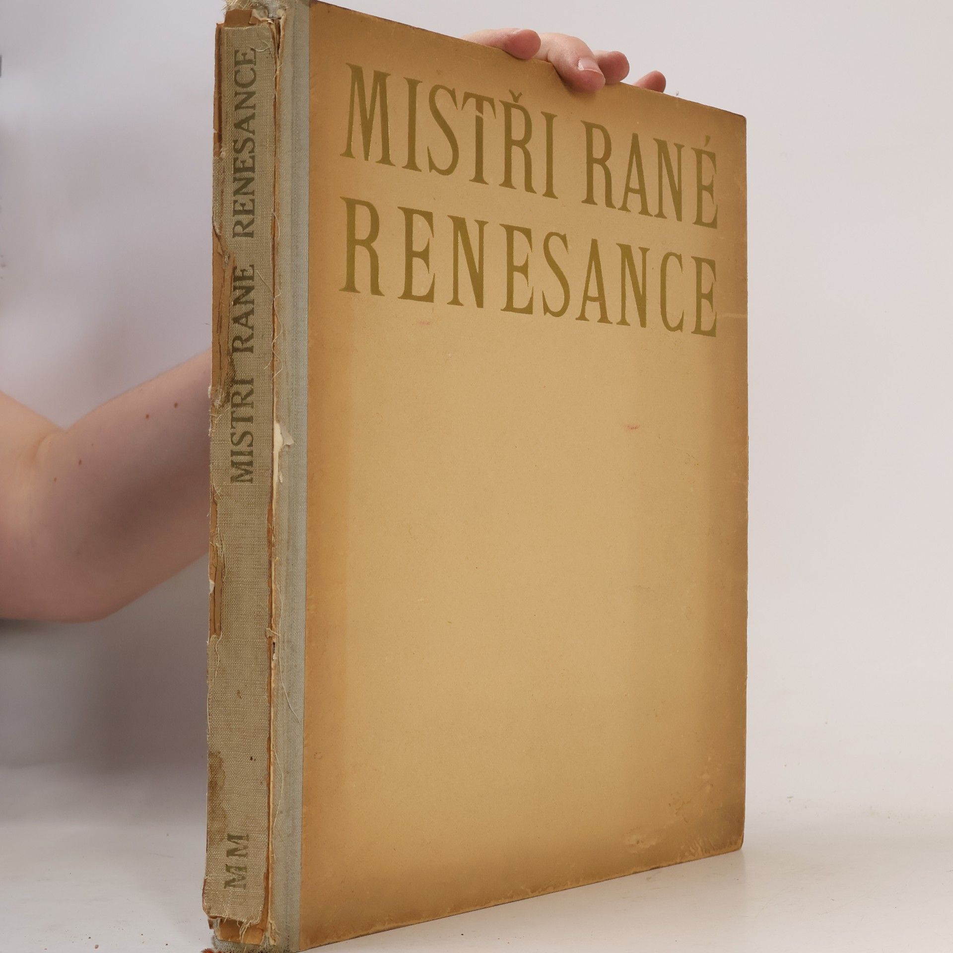 Mistři malířství. Mistři rané renesance