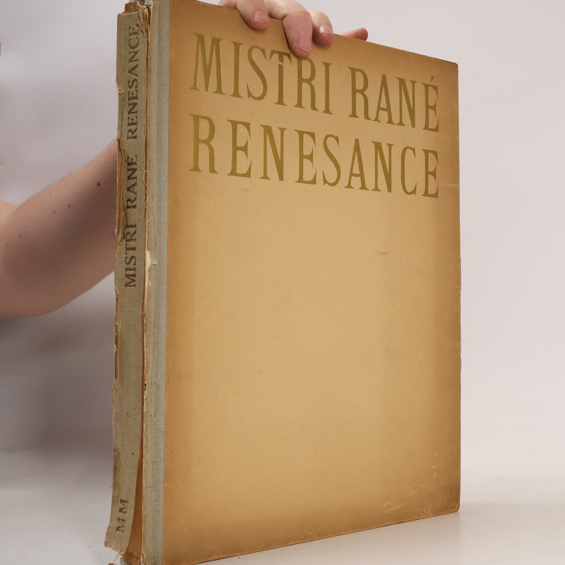 Antonín Matějček Mistři malířství. Mistři rané renesance