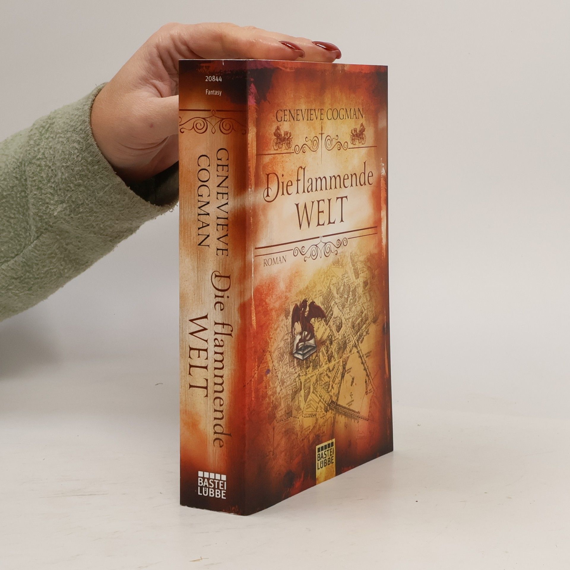 Genevieve Cogman Die flammende Welt