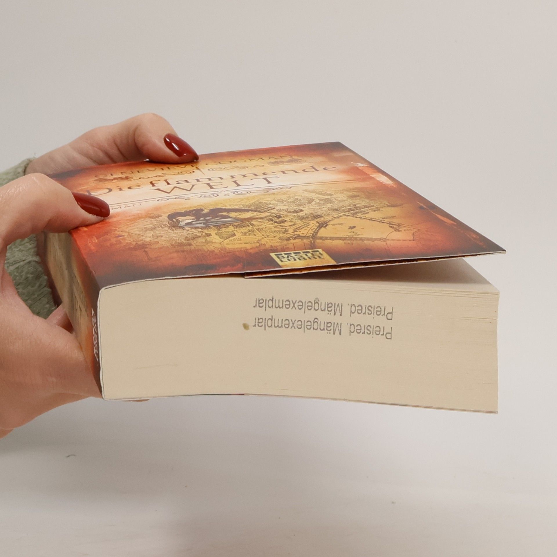 Genevieve Cogman Die flammende Welt