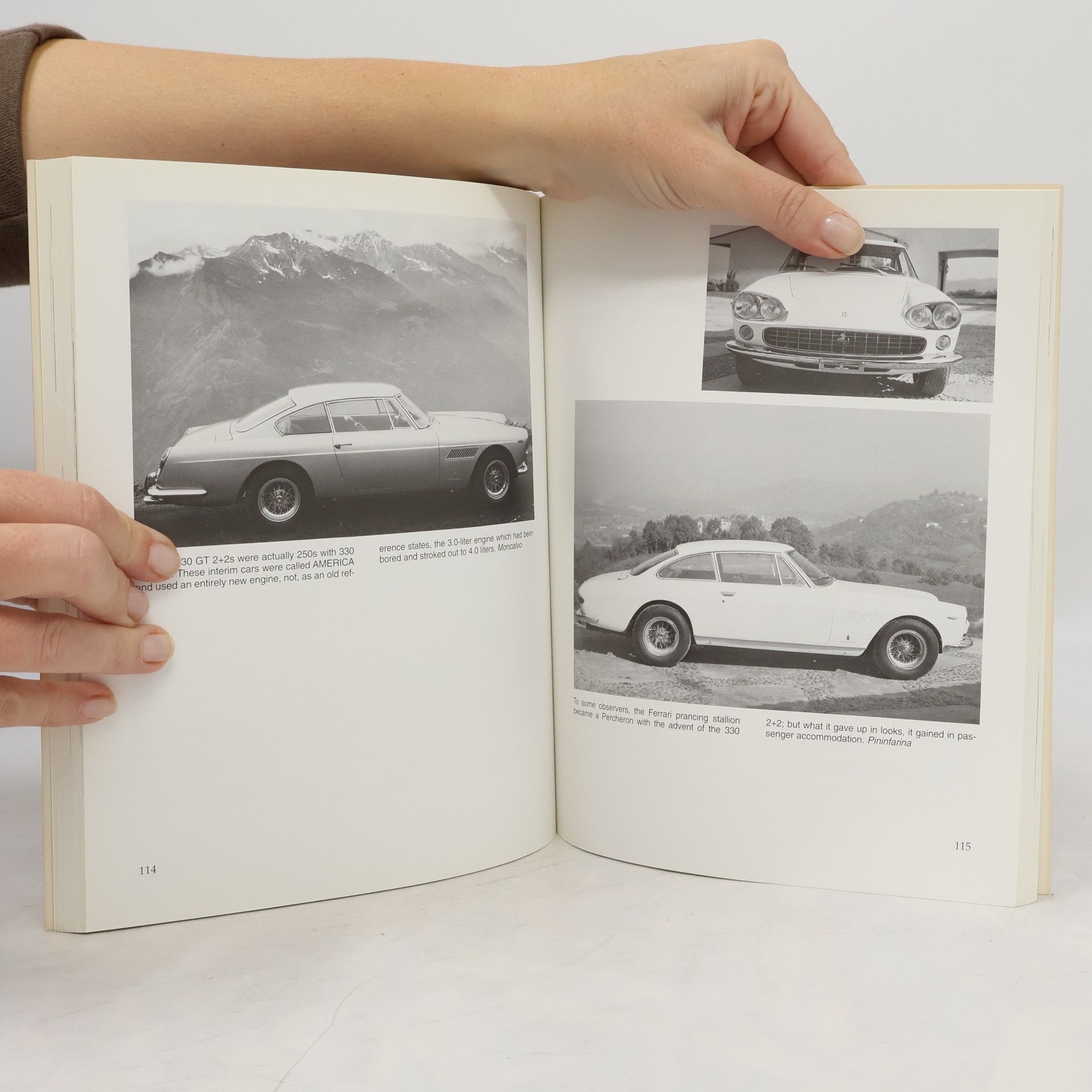 Randy Leffingwell Illustrated Ferrari Buyer's Guide