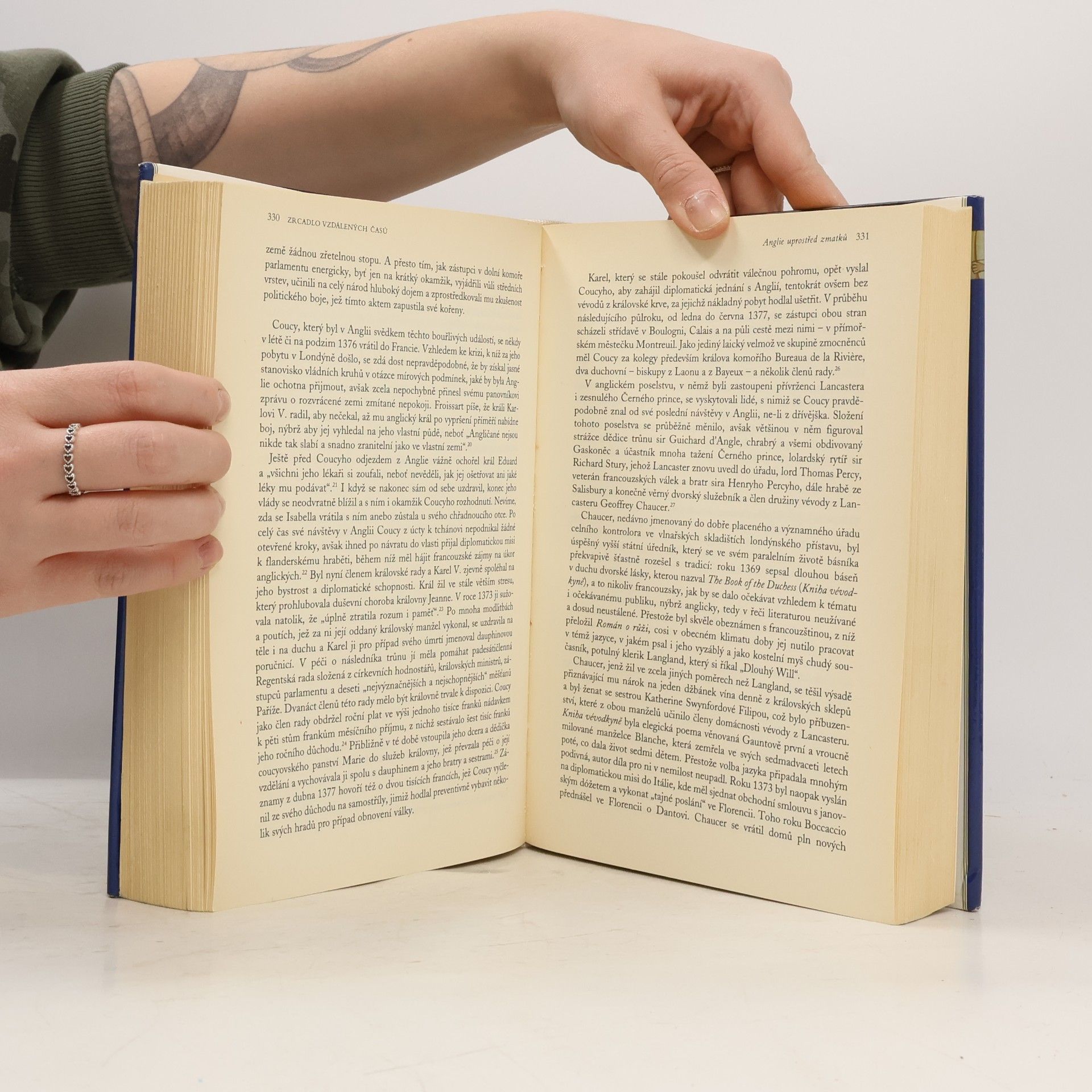 Barbara Tuchman Zrcadlo vzdálených časů. 14. století - století pohrom
