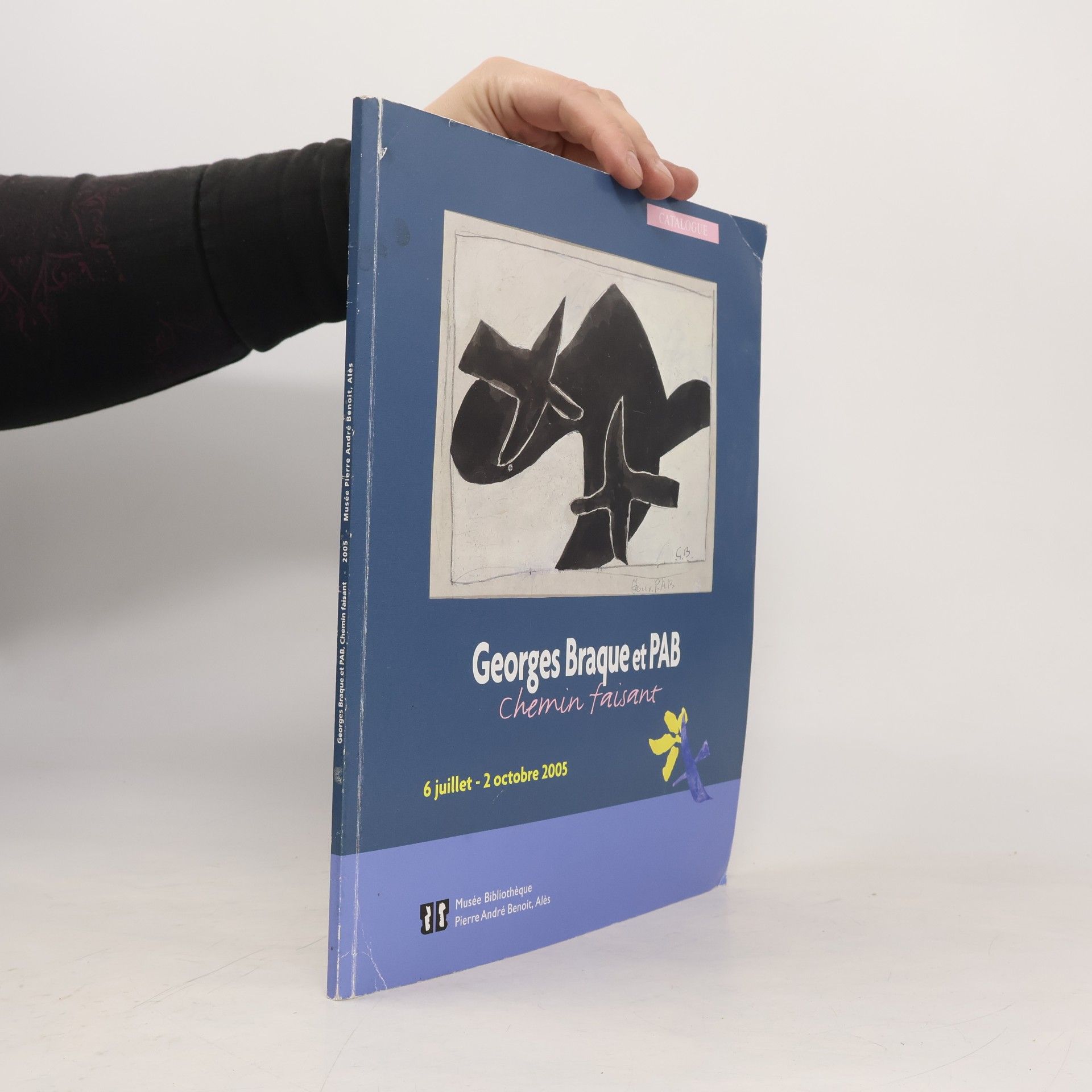 Autorenkollektiv Georges Braque et PAB. Chemin faisant