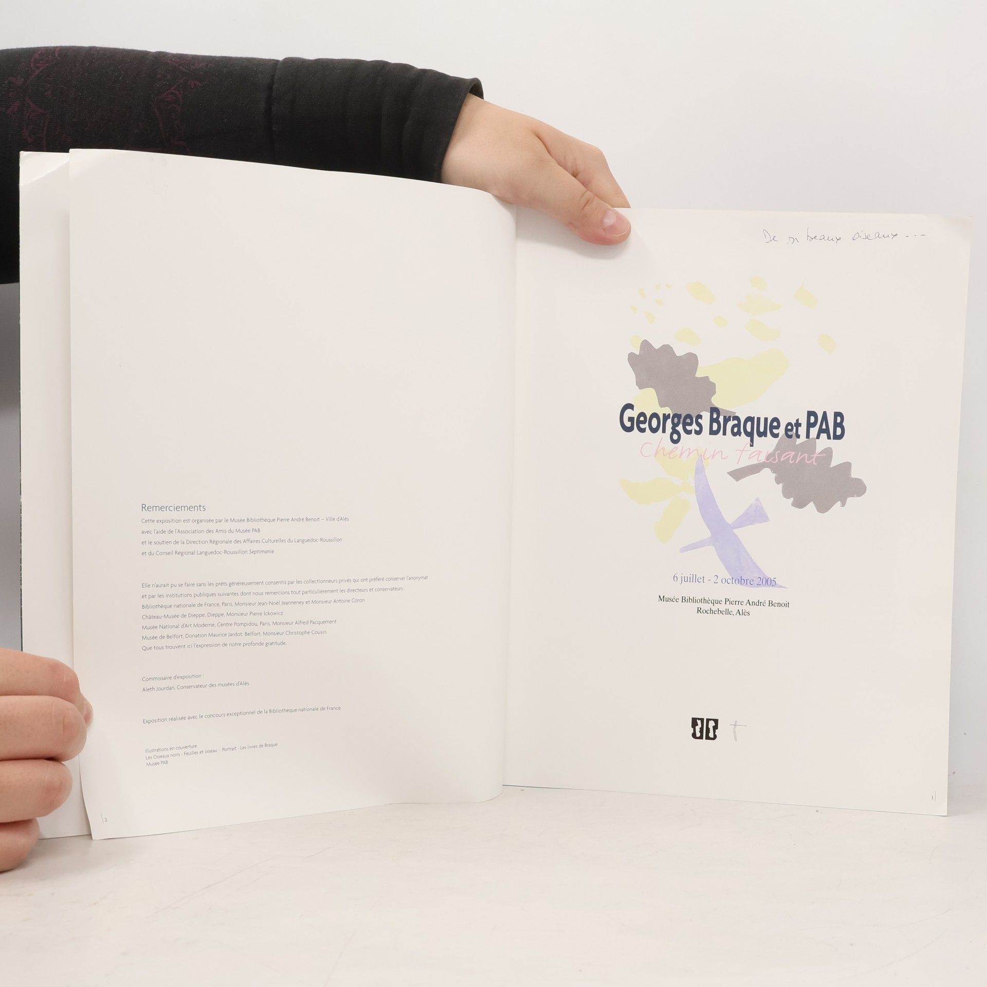 Autorenkollektiv Georges Braque et PAB. Chemin faisant