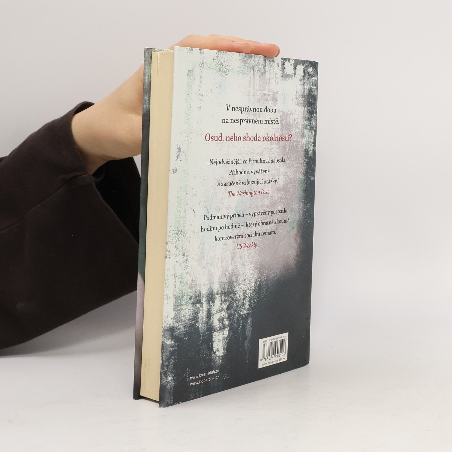 Jodi Picoult Záblesk života
