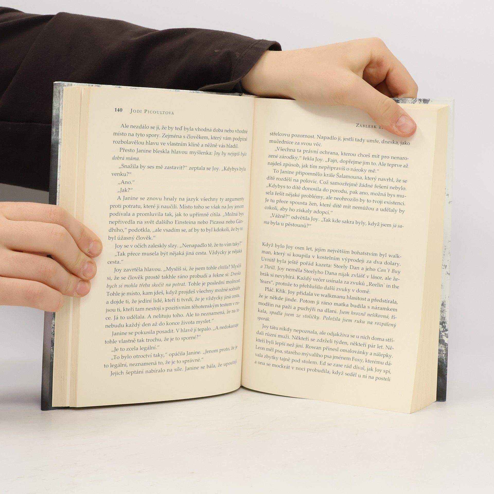 Jodi Picoult Záblesk života