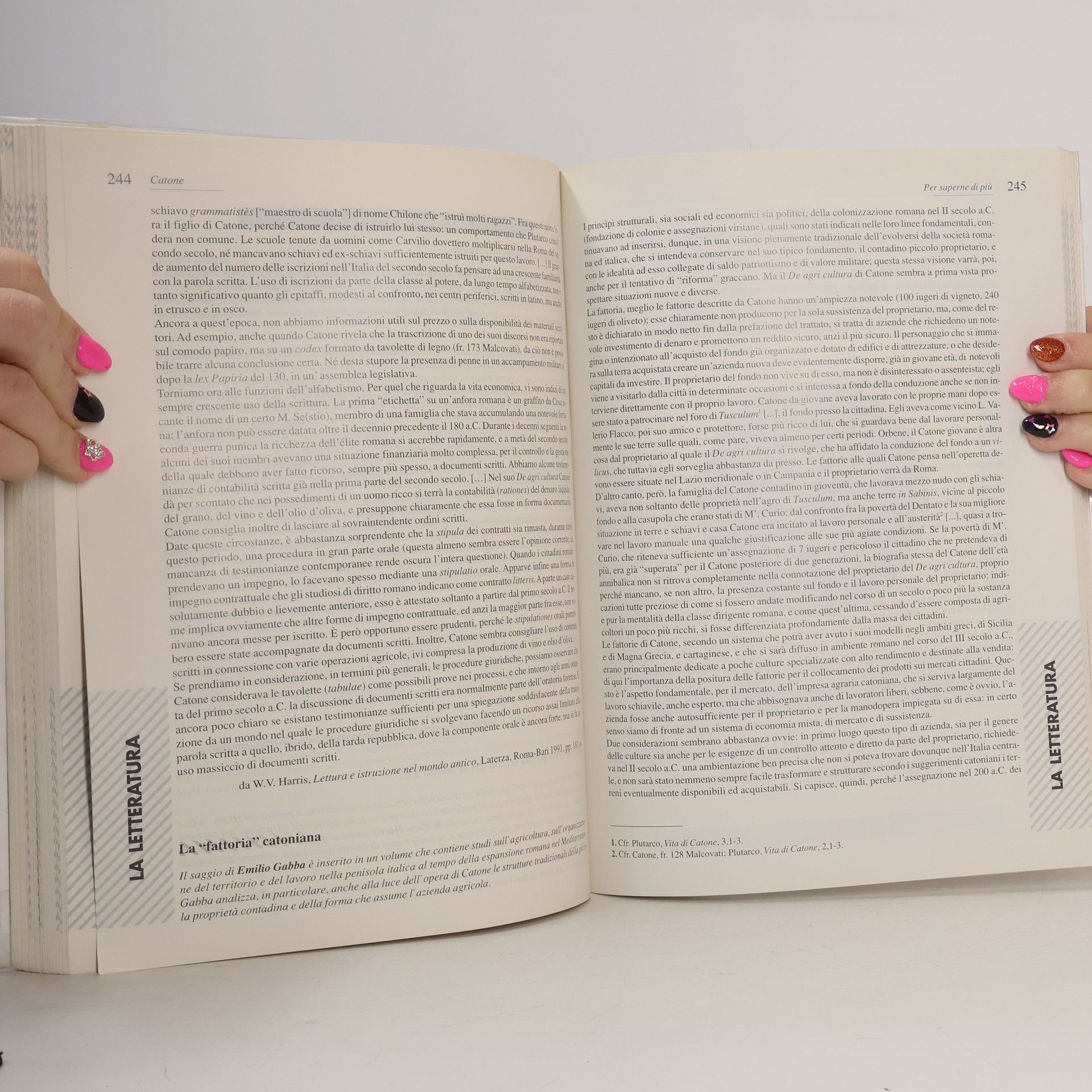 Lina Grossi Testi Autori Itinerari Contesti della letteratura latina