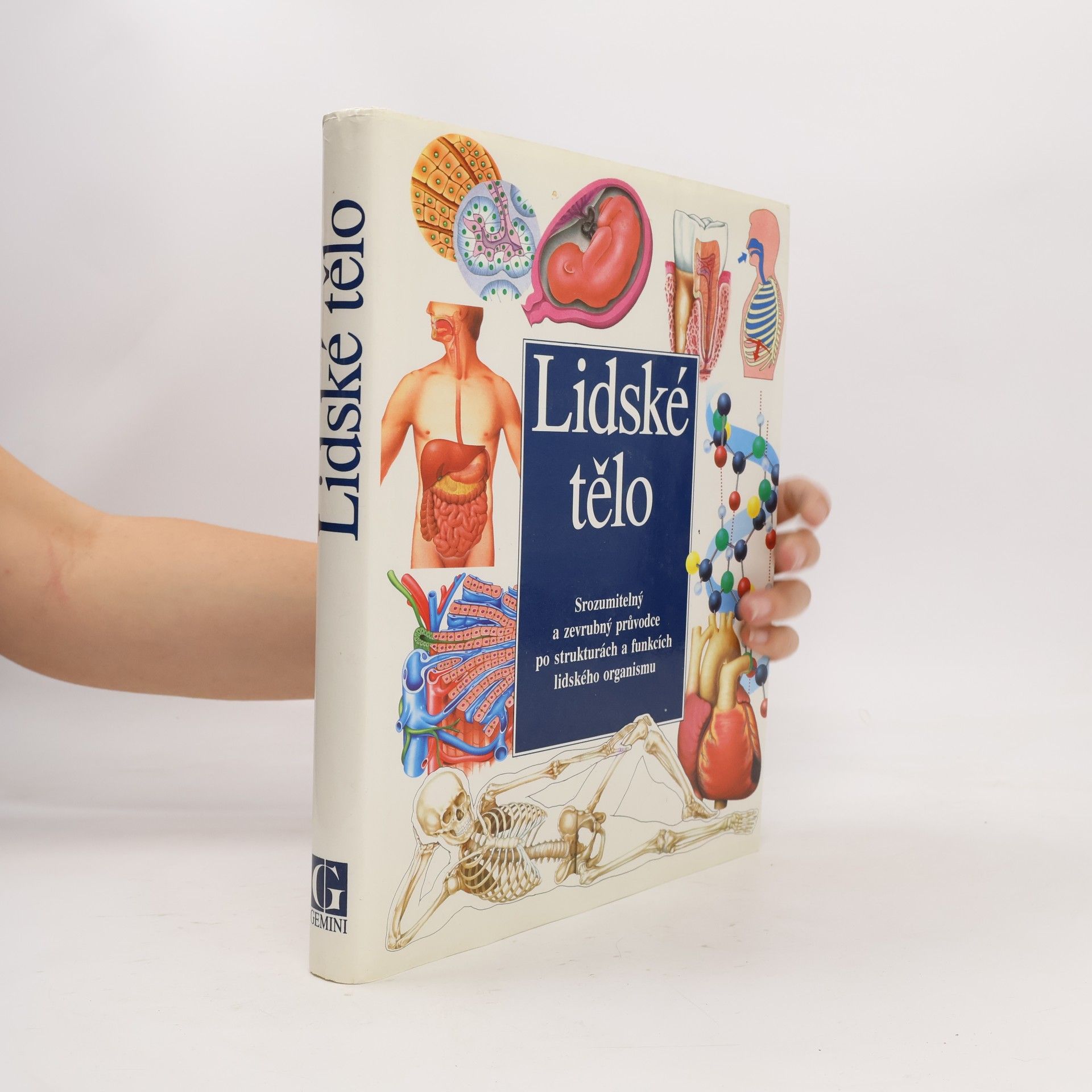 Lidské tělo