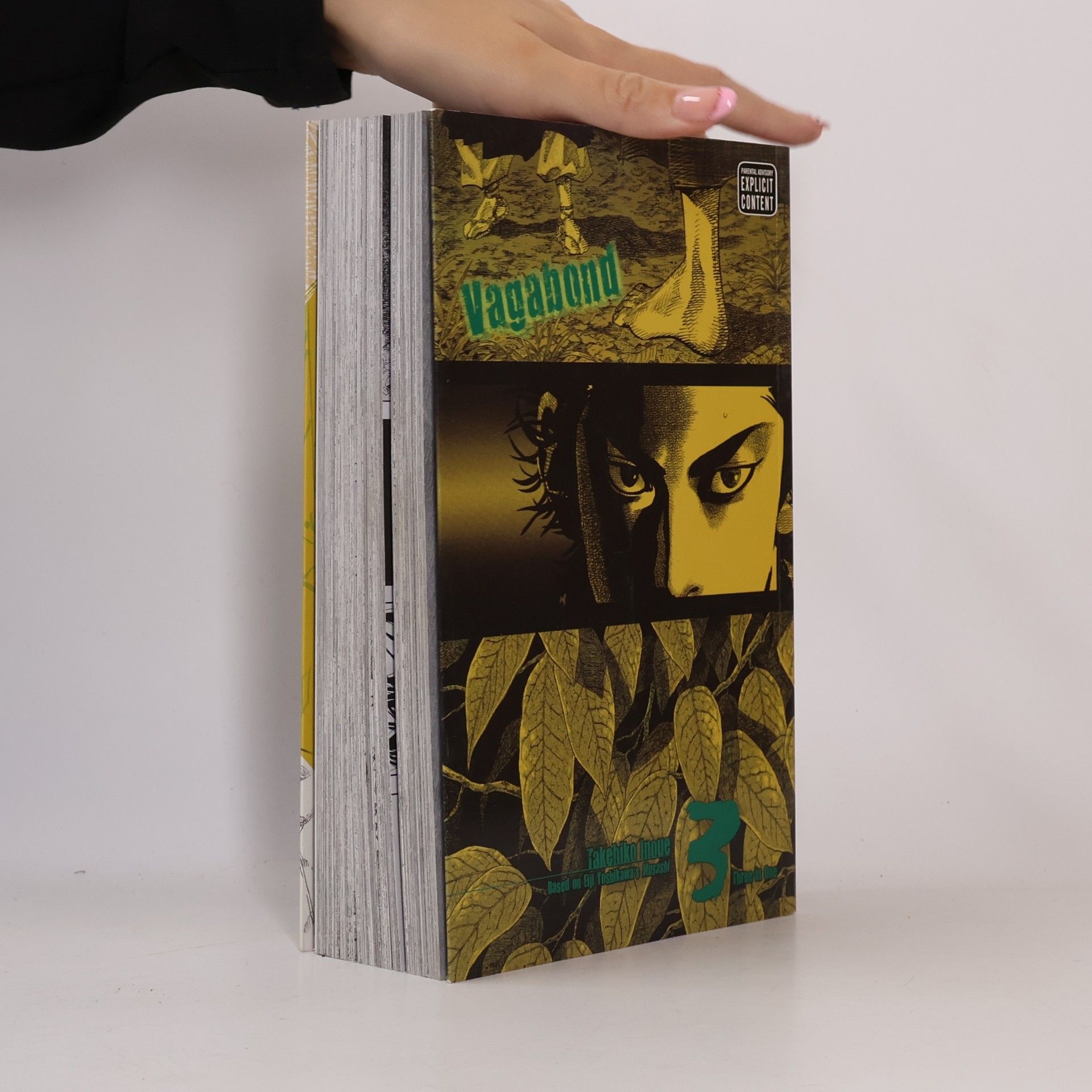 Takehiko Inoue Vagabond: Vol. 3