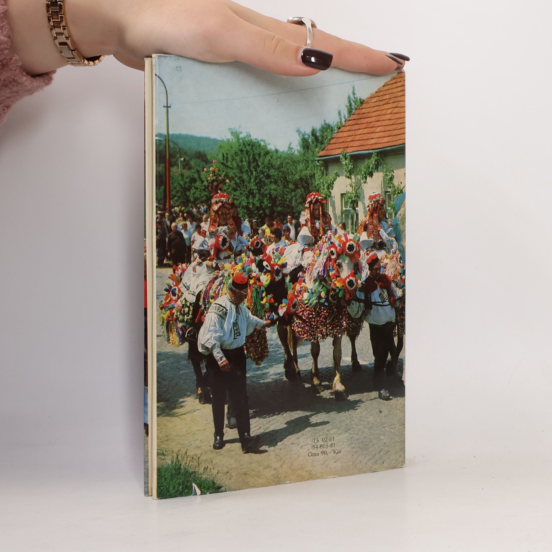 Metoděj Zemek Vlčnov. Současnost slovem i obrazem