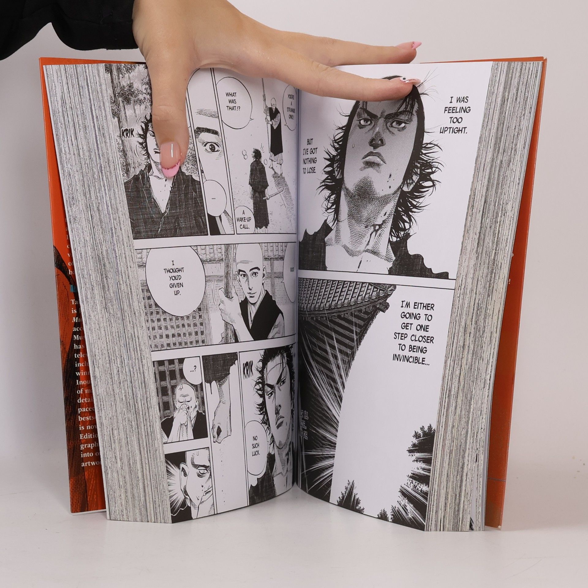 Takehiko Inoue Vagabond Vol. 2