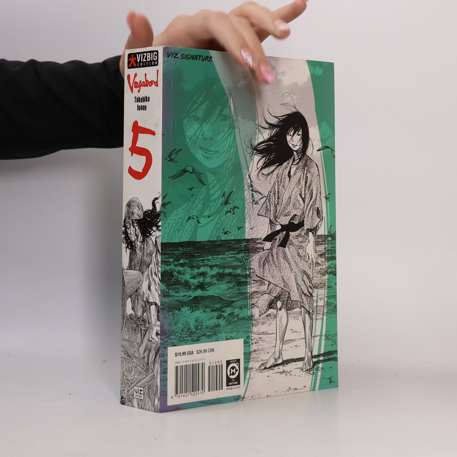 Vagabond, Vol. 5