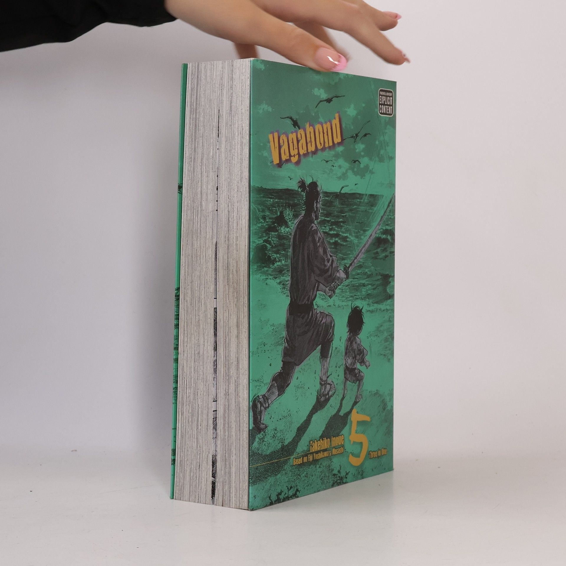Takehiko Inoue Vagabond, Vol. 5