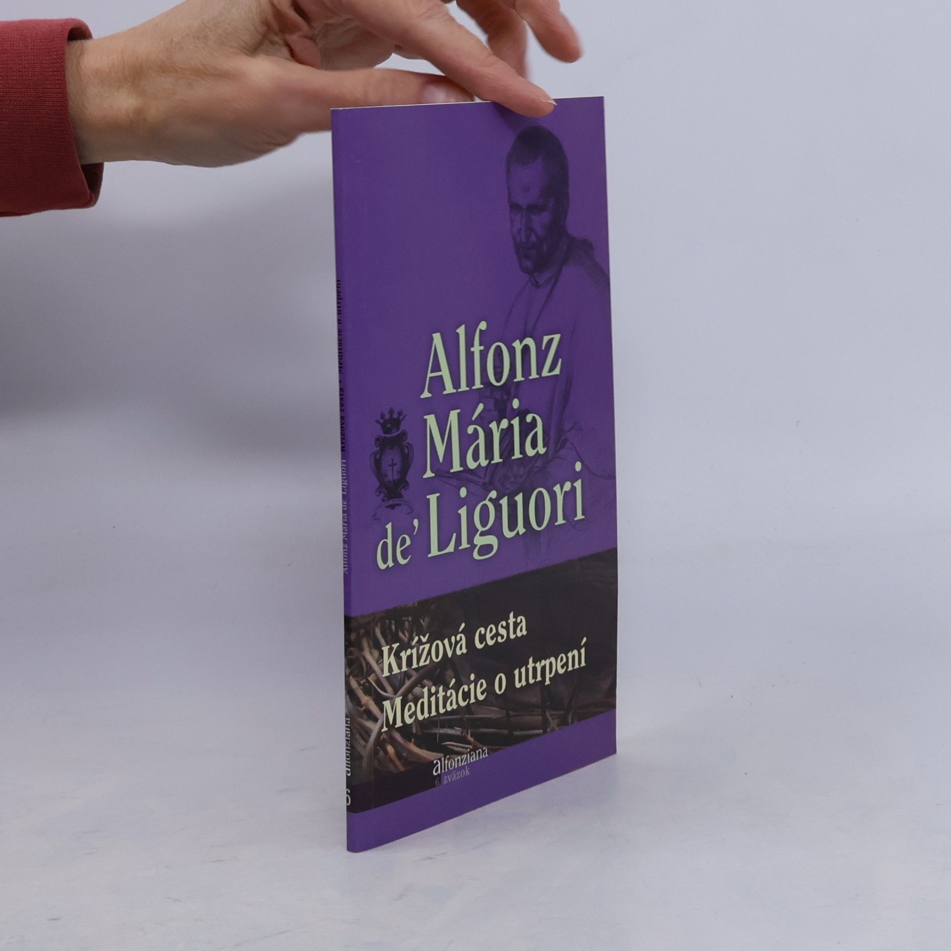 Krížová cesta. Meditácie o utrpení