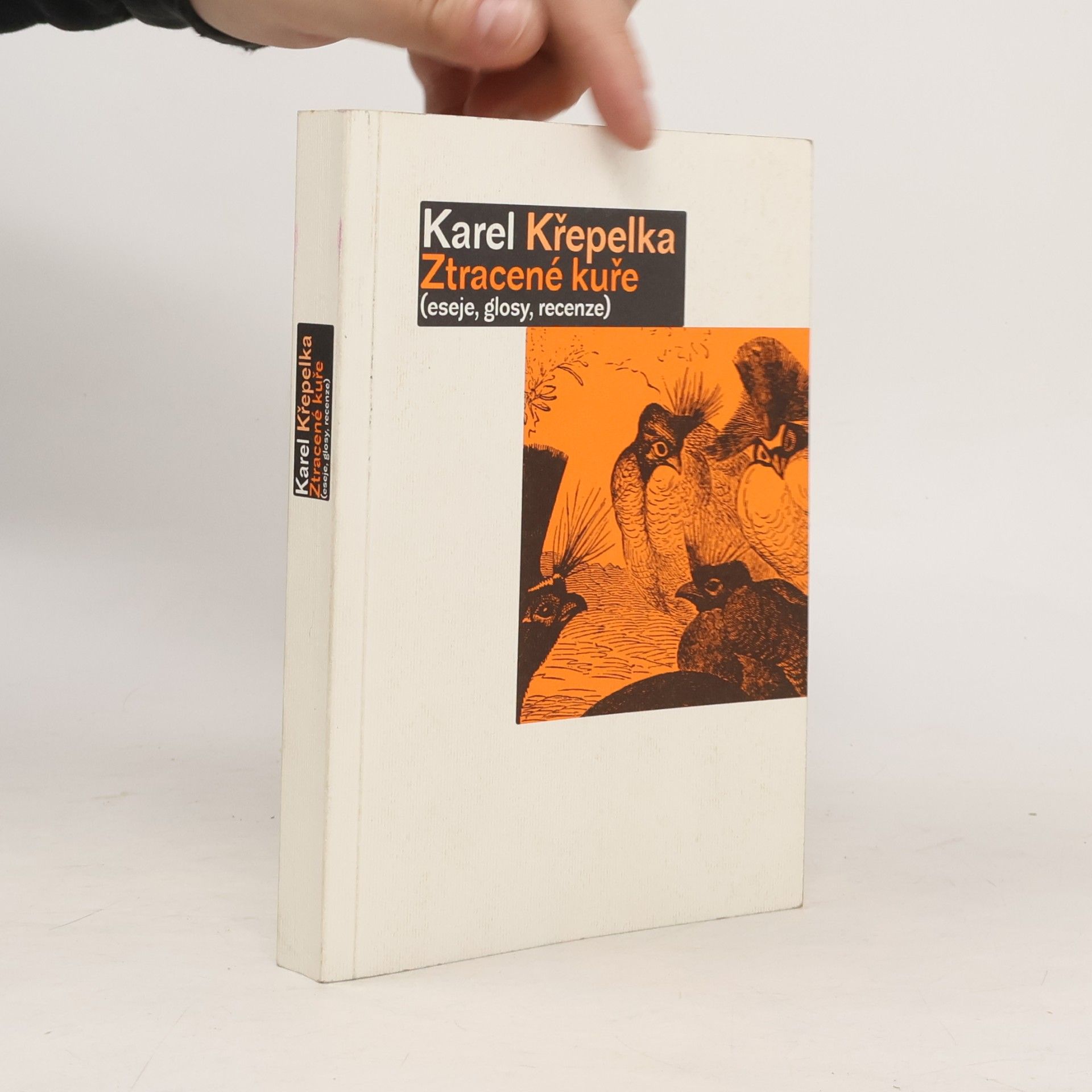 Karel Křepelka Ztracené kuře (eseje, glosy, recenze)