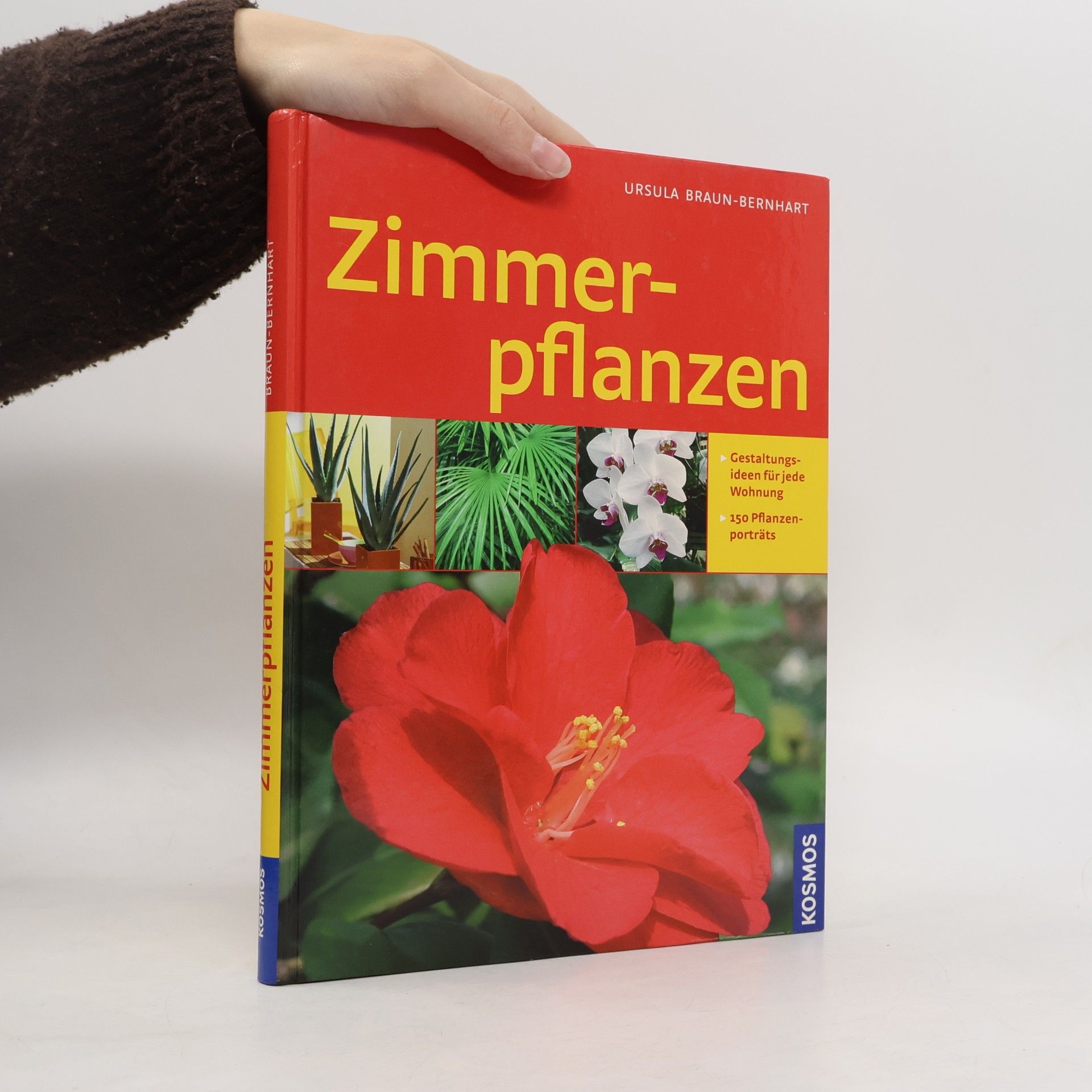 Zimmerpflanzen
