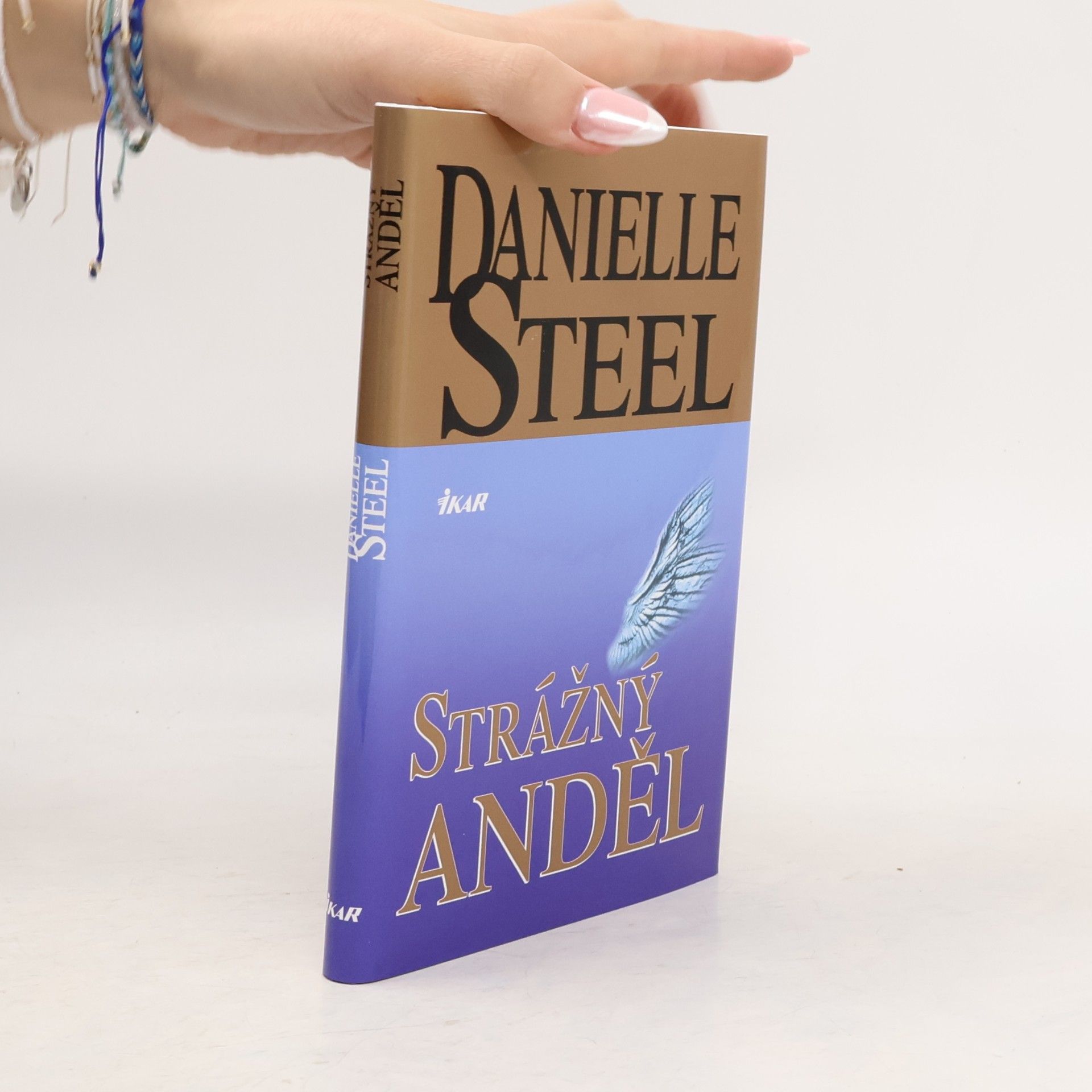 Danielle Steel Strážný anděl