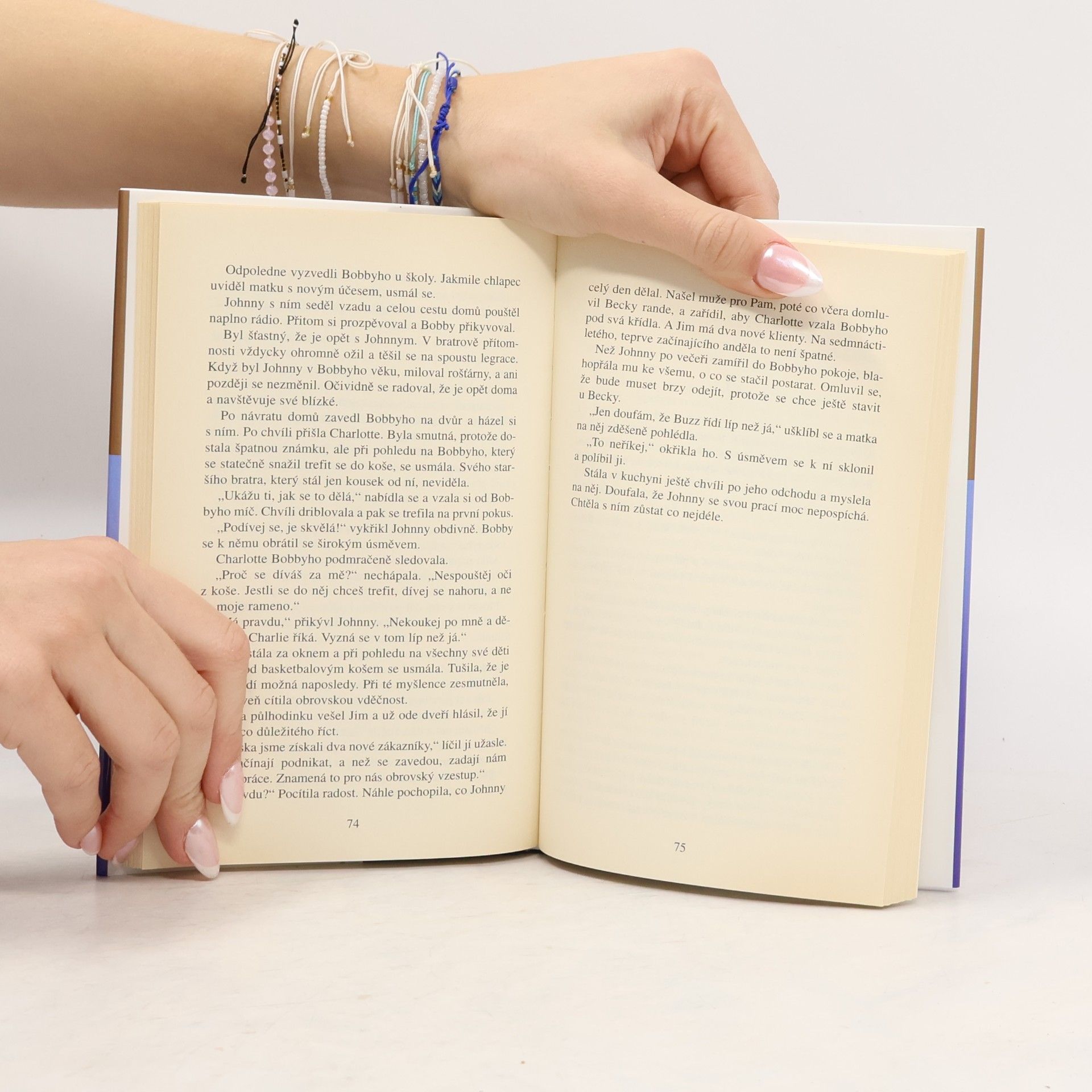 Danielle Steel Strážný anděl