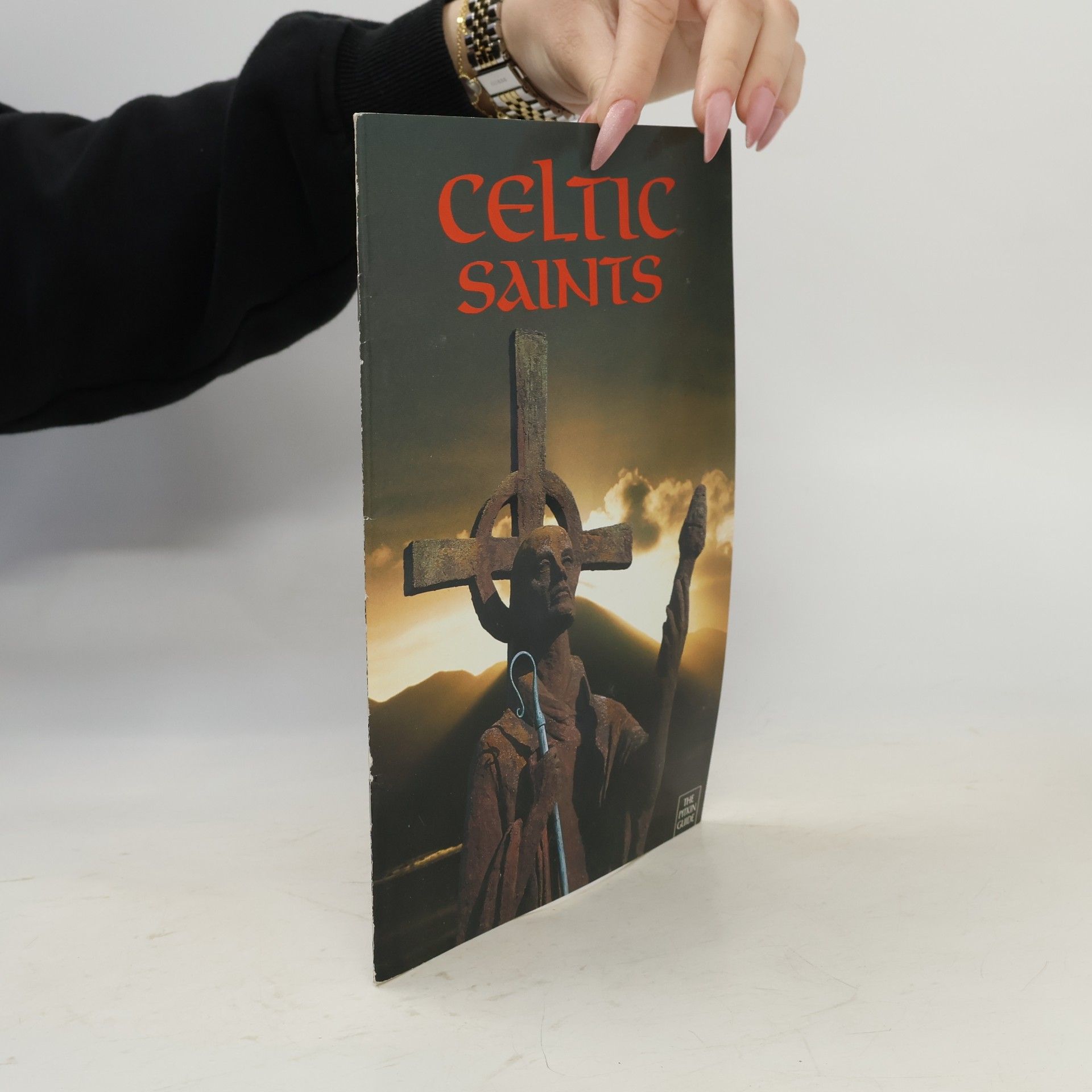 Dana Delap Pitkin Guides: Celtic Saints