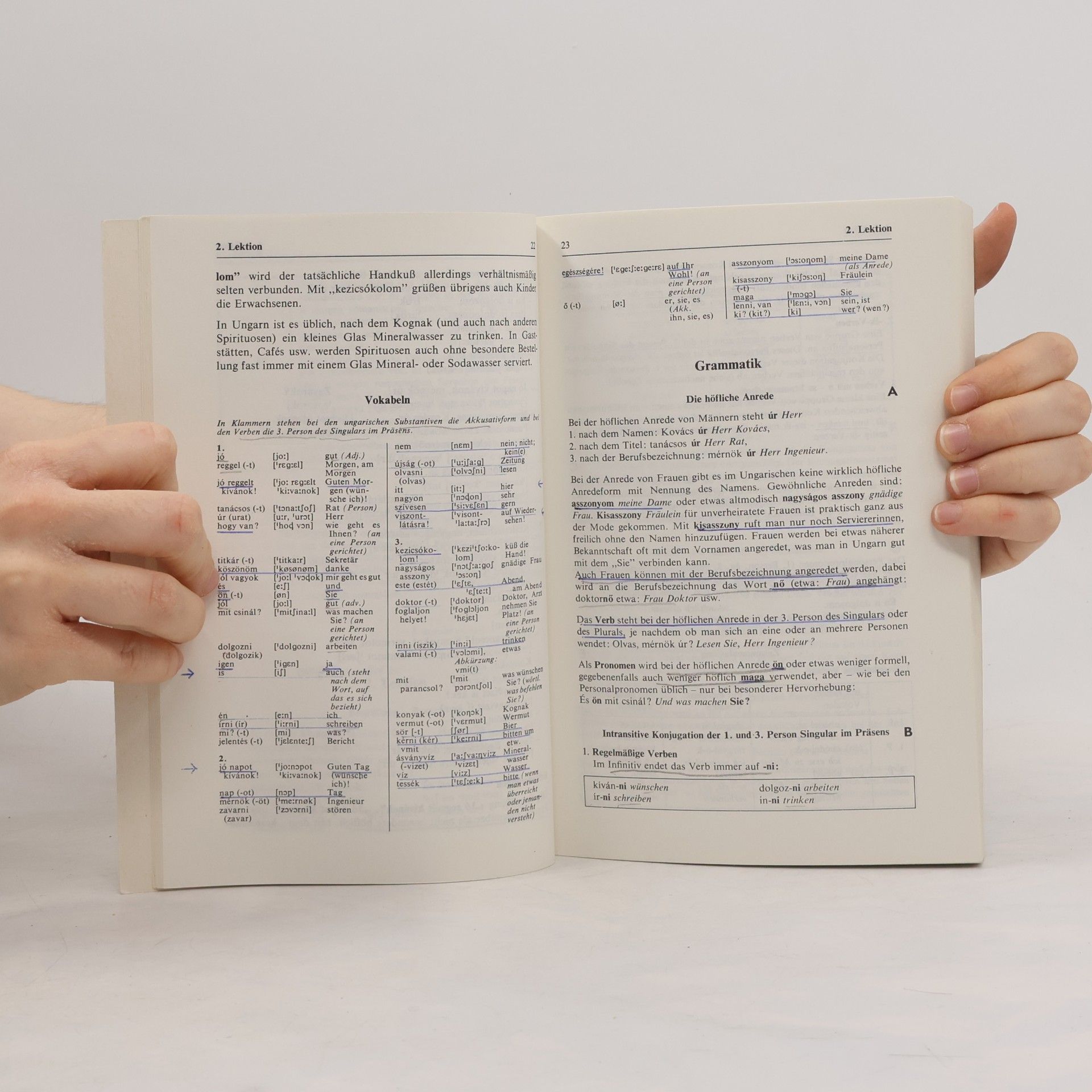 Langenscheidts praktisches Lehrbuch Ungarisch