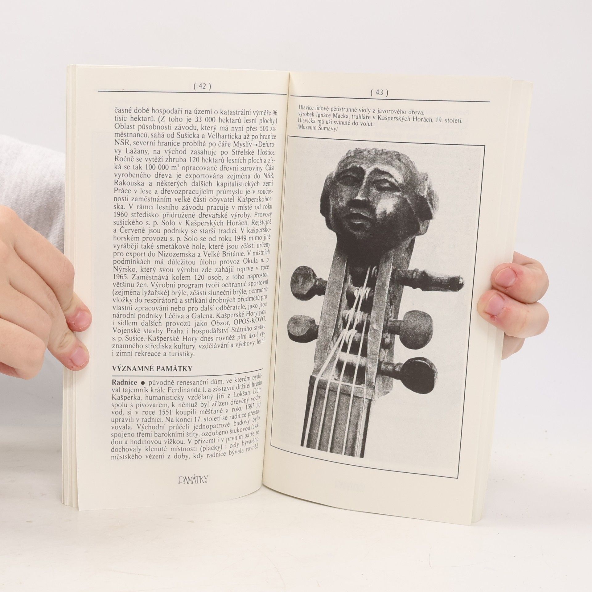 Autorenkollektiv Kašperské hory a okolí: příroda, historie, památky, místopis, kultura