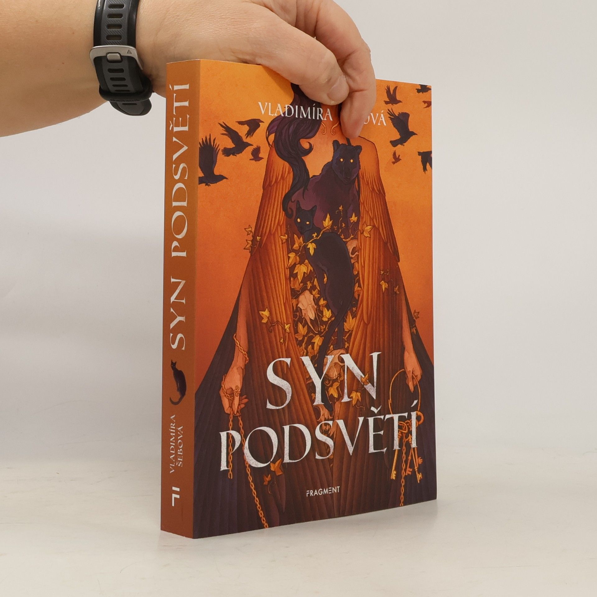 Syn podsvětí