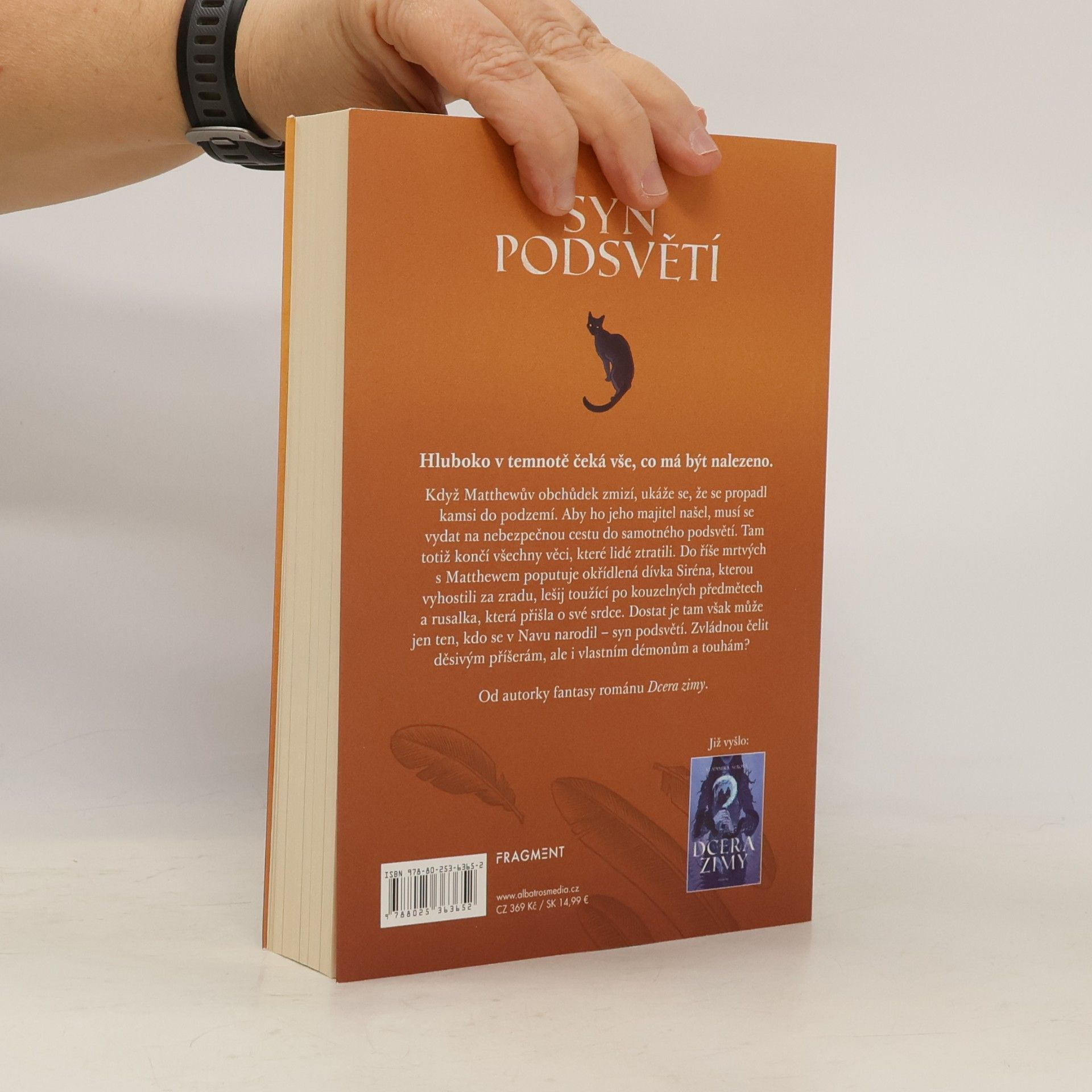 Vladimíra Šebová Syn podsvětí