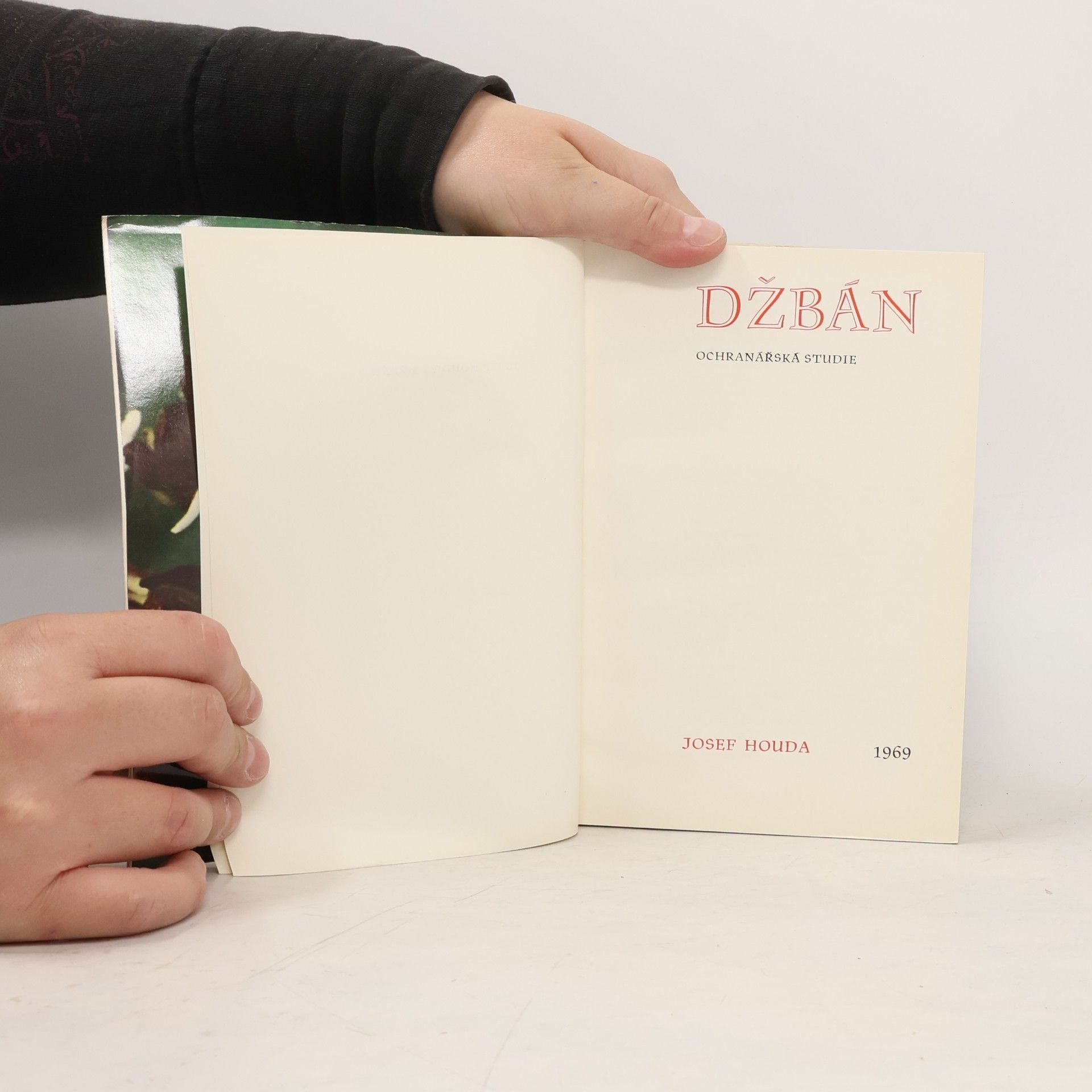 Josef Houda Džbán. Ochranářská studie.