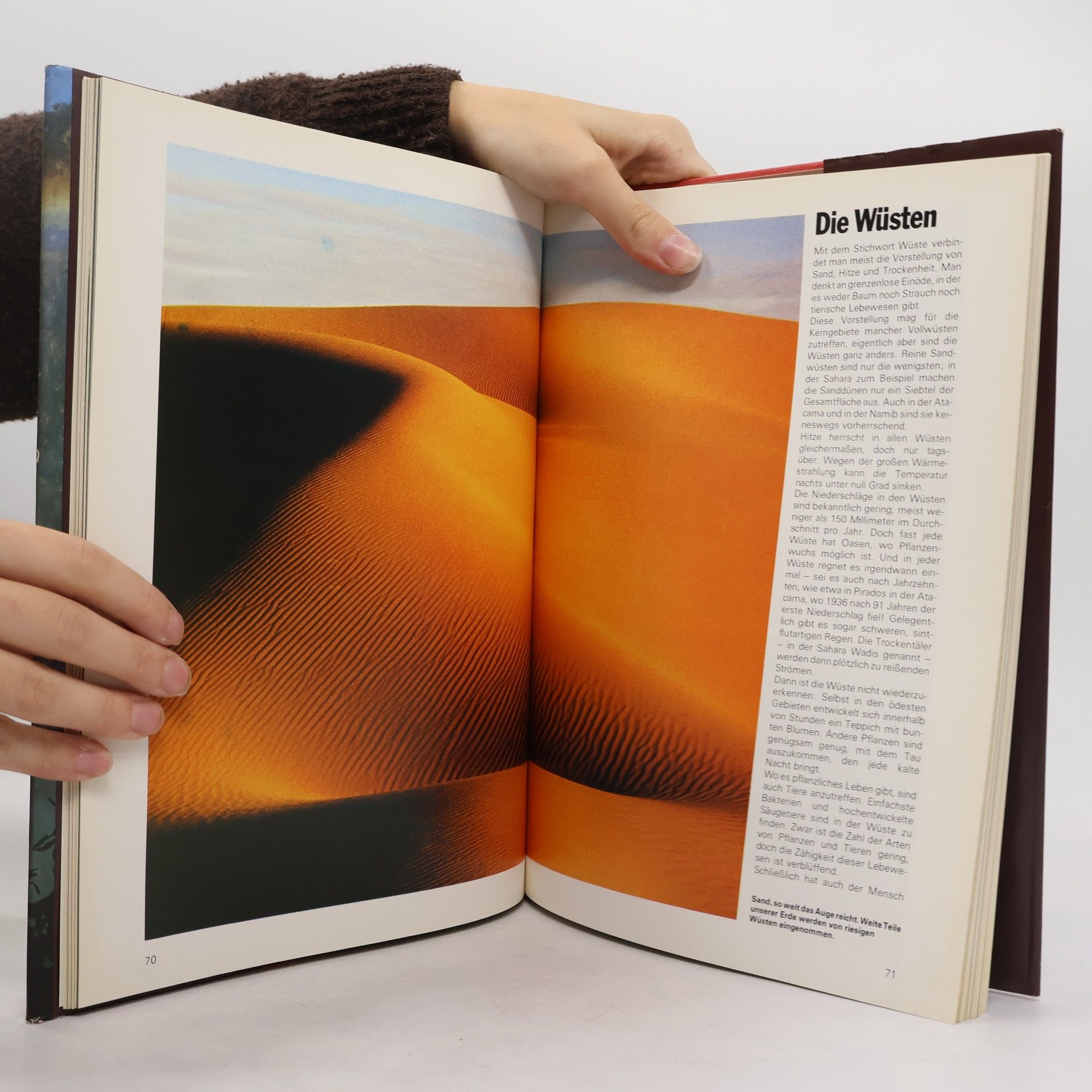 Collectif d'auteurs Ewige Welt