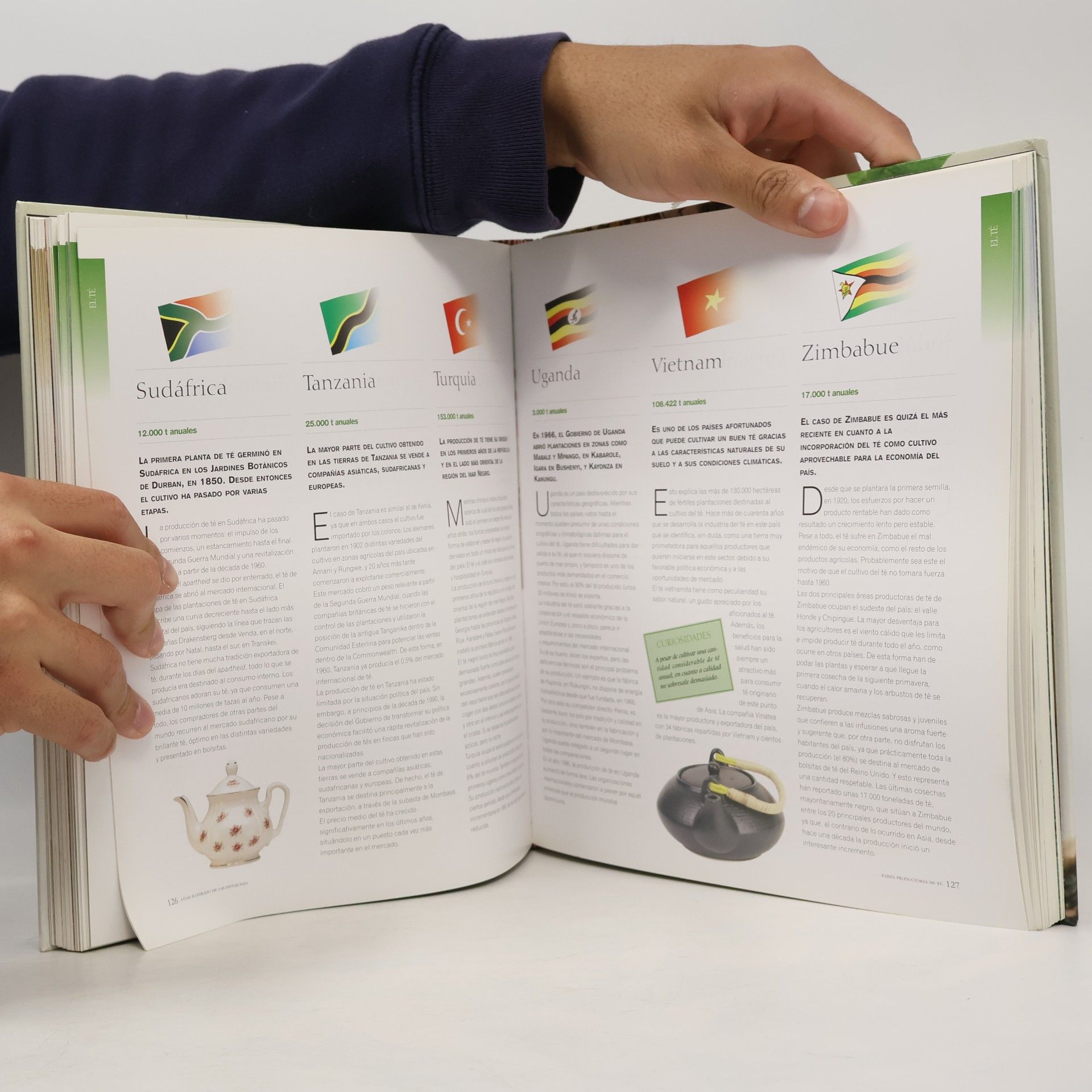 Equipo Susaeta Atlas ilustrado de las infusiones café, té y tisanas