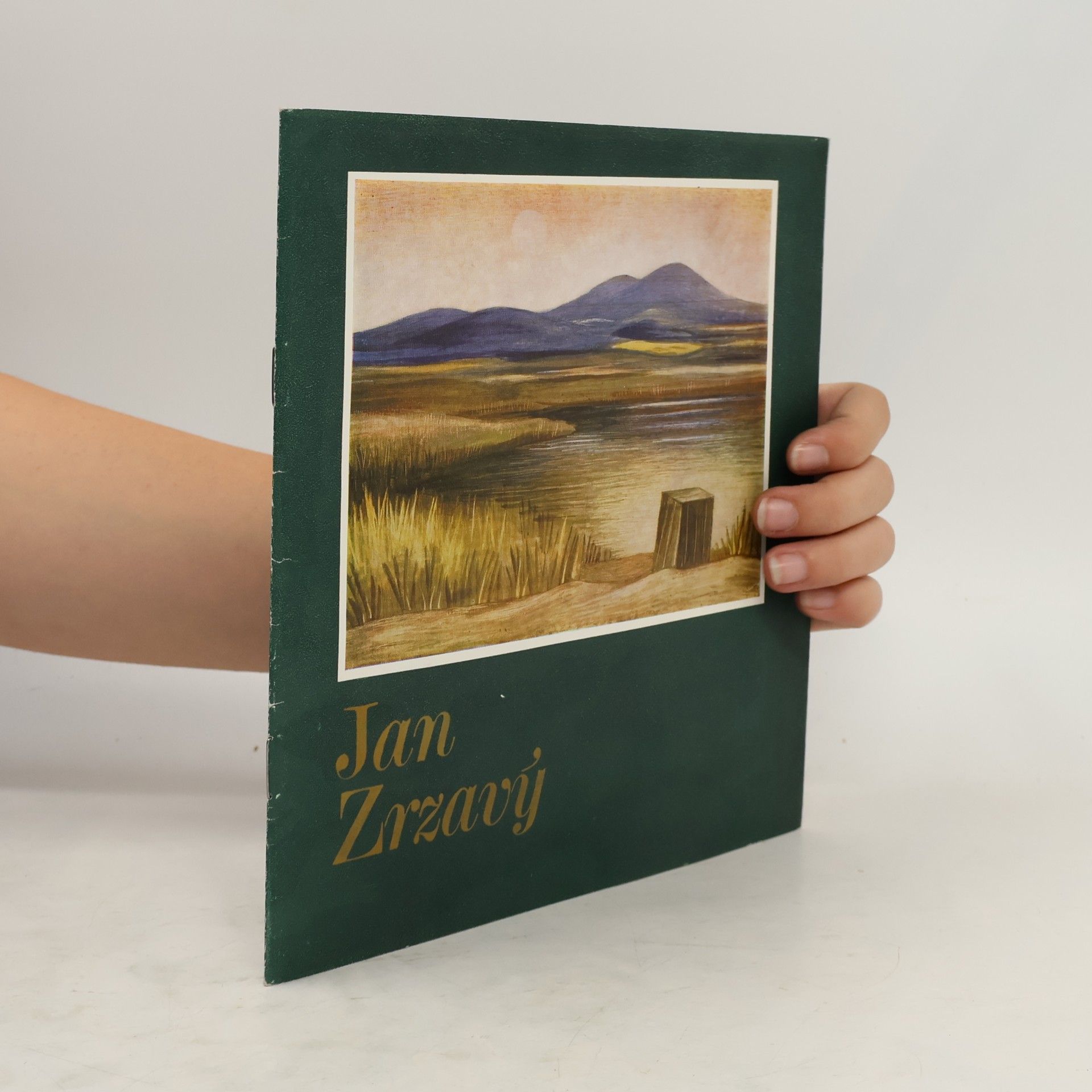 Various authors Jan Zrzavý. Obrazy a kresby z Národní galerie v Praze