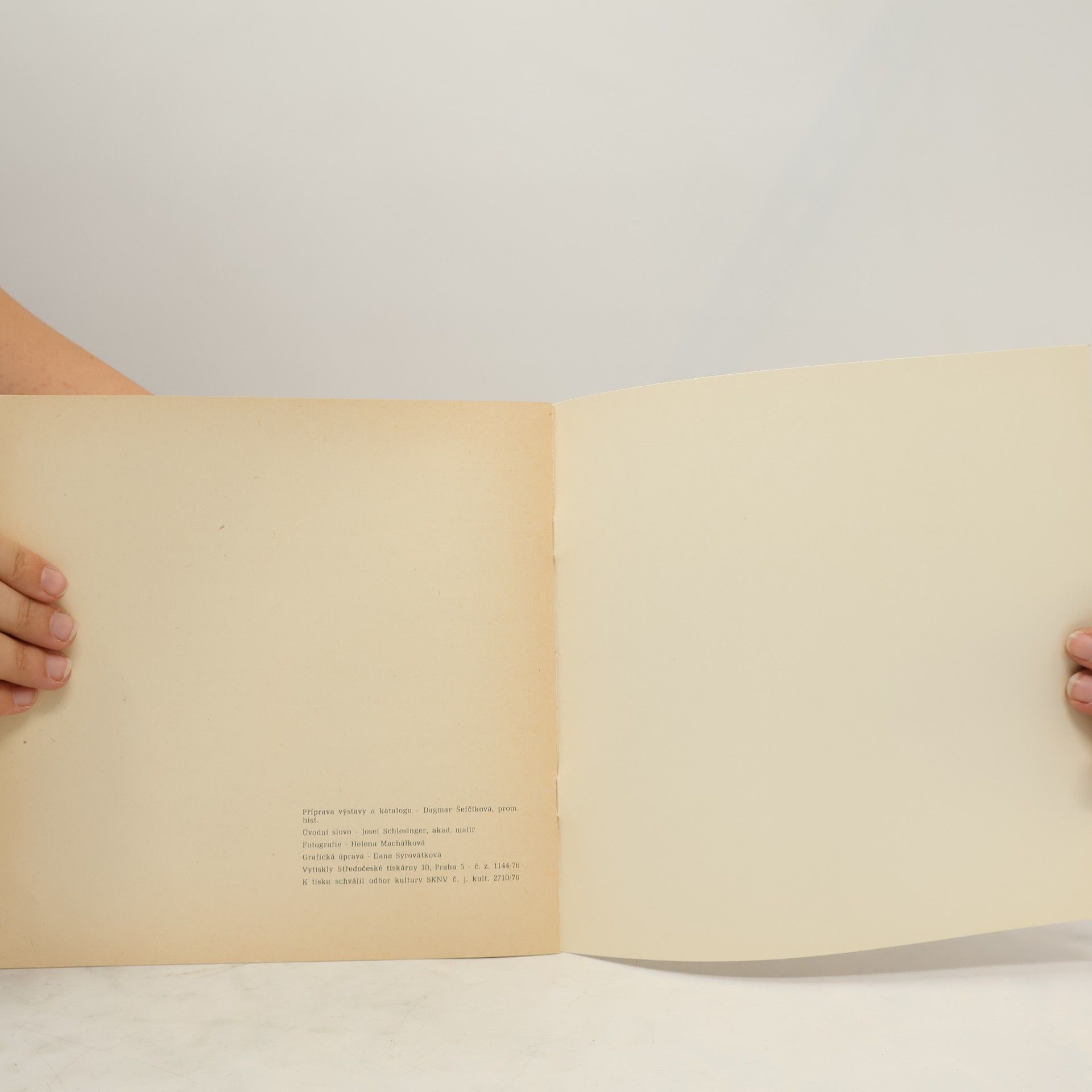 Helena Machálková České umění 20. Století