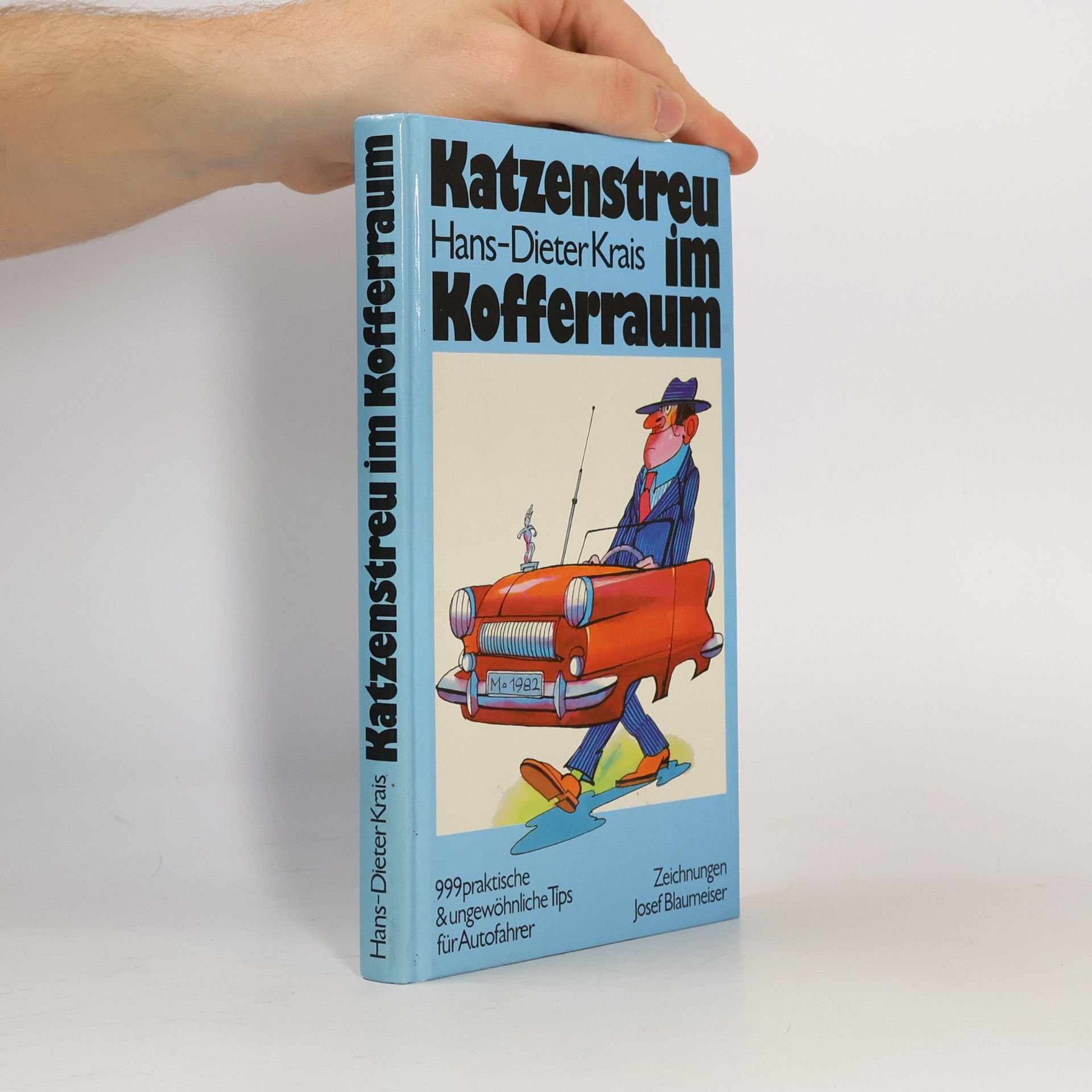 Katzenstreu im Kofferraum