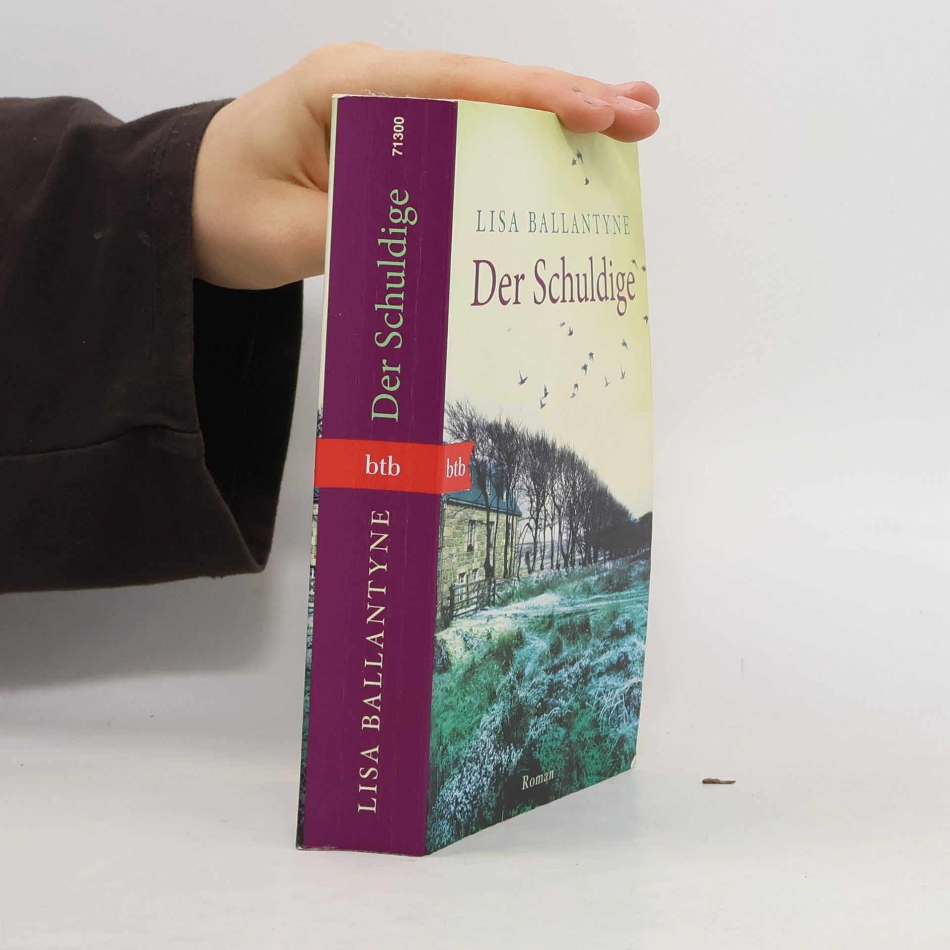 Der Schuldige